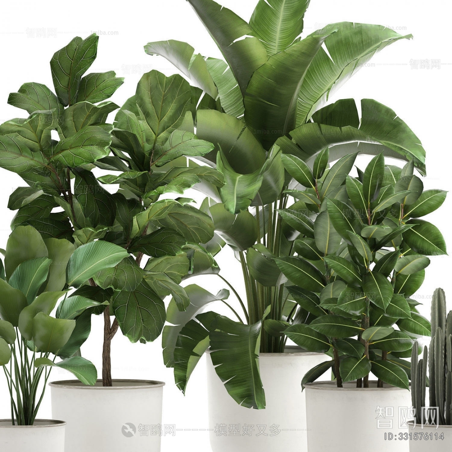 Modern Potted Green Plant