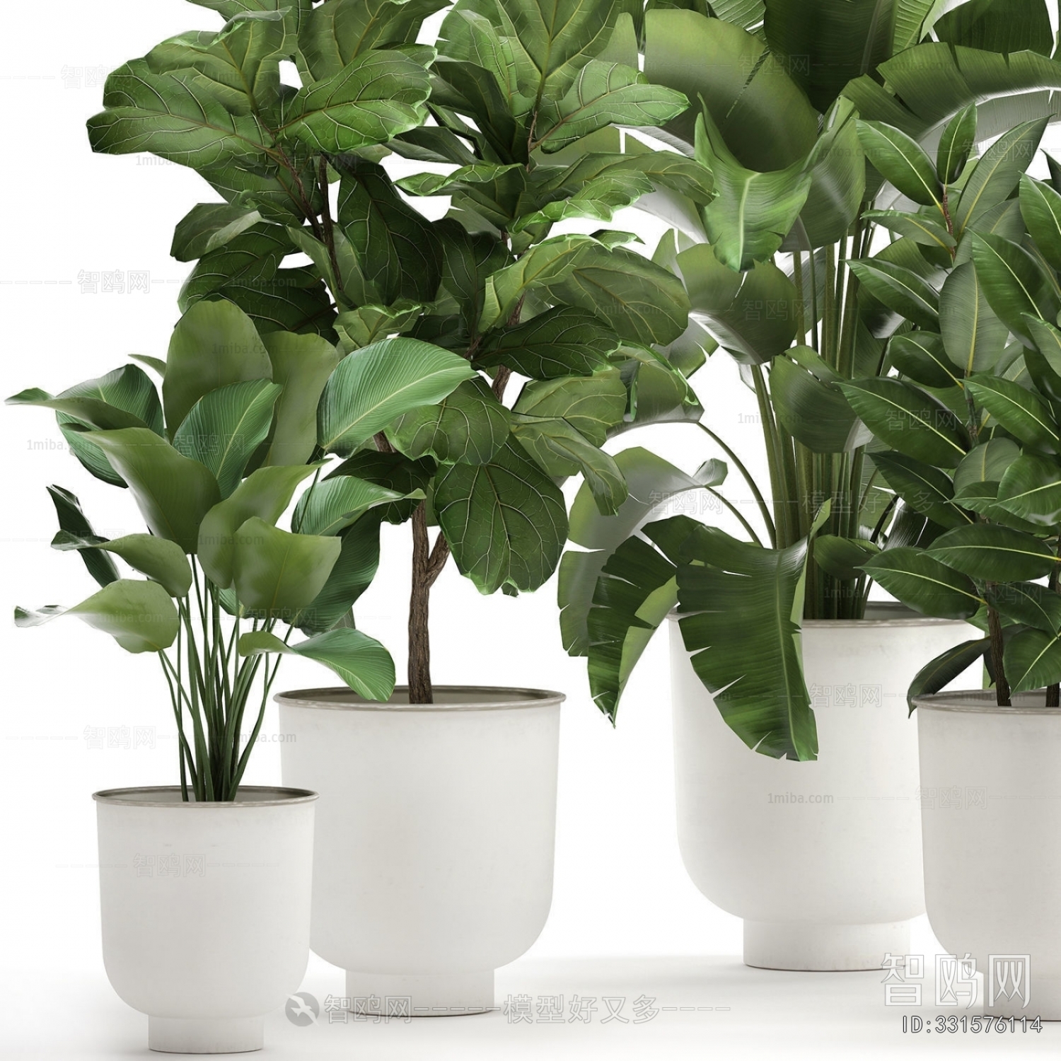 Modern Potted Green Plant