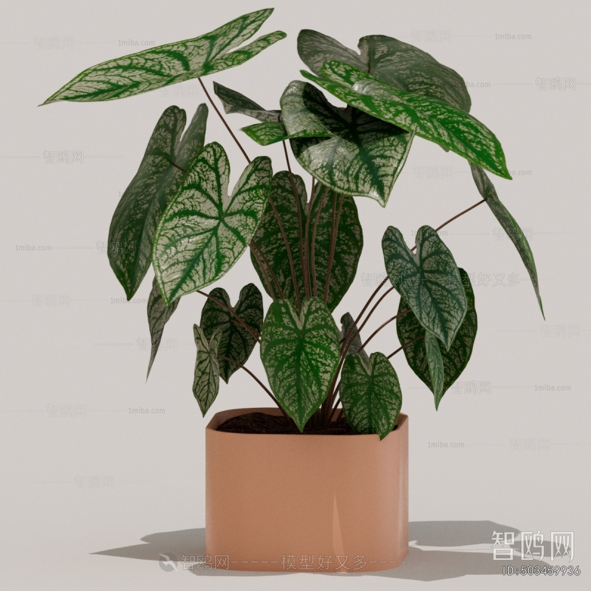 Modern Potted Green Plant