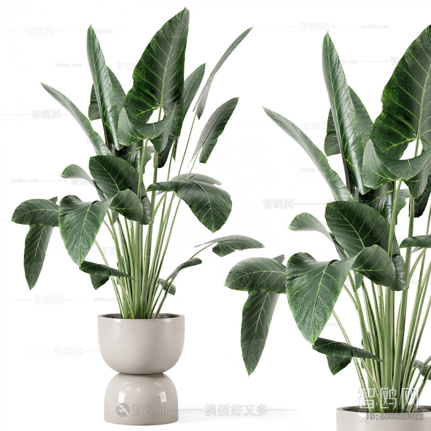 Modern Ground Green Plant Potted Plants