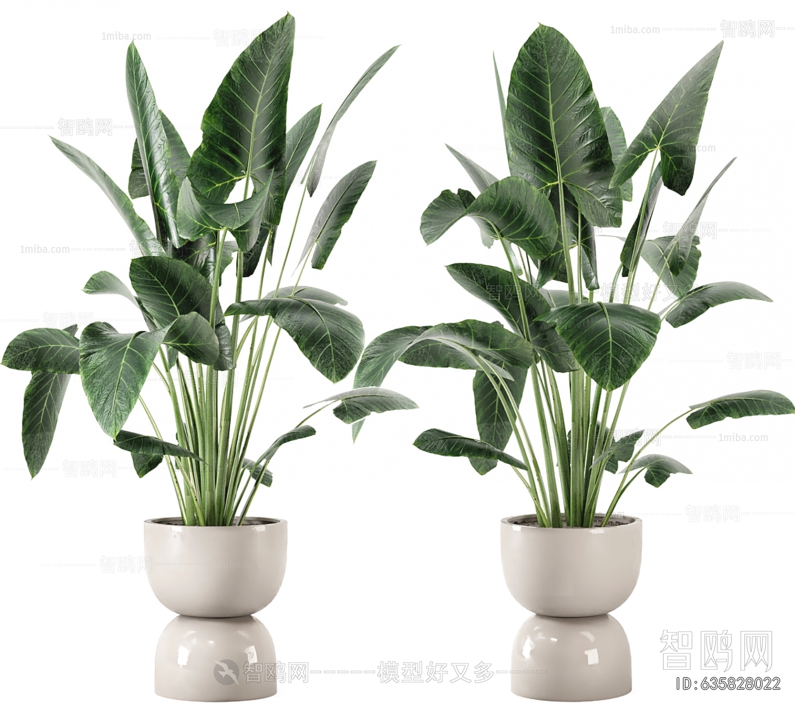 Modern Ground Green Plant Potted Plants