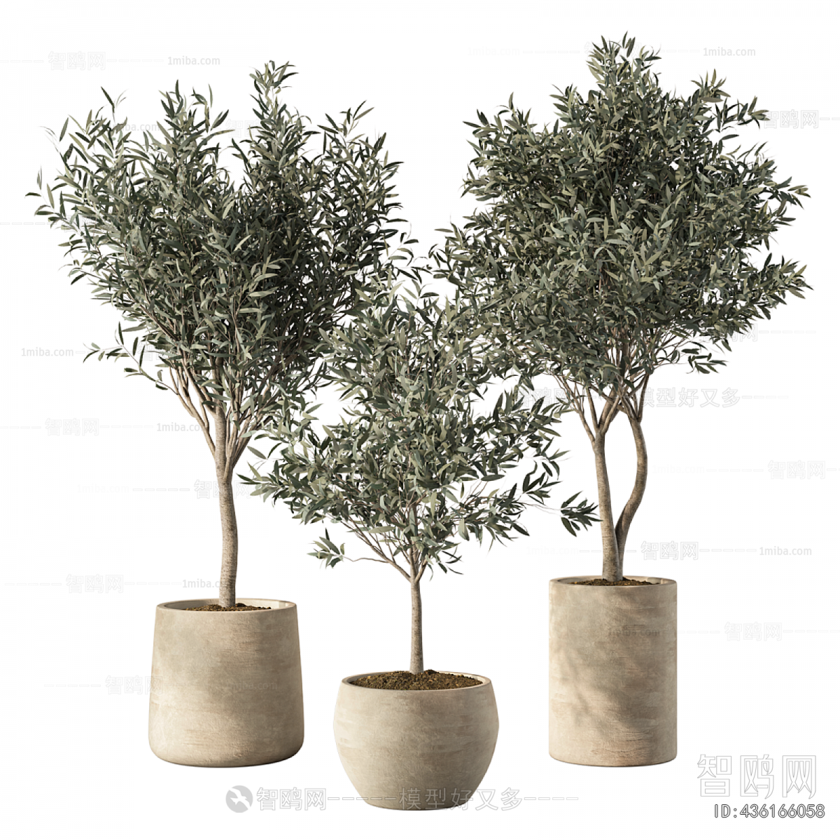 Modern Ground Green Plant Potted Plants