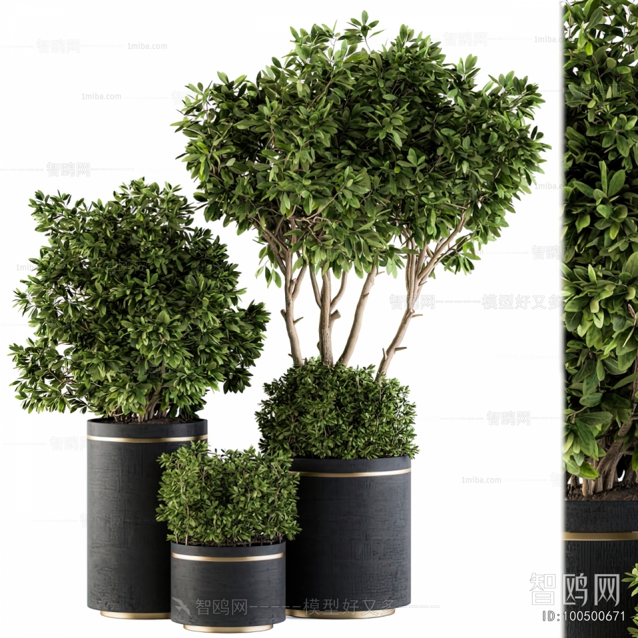 Modern Ground Green Plant Potted Plants