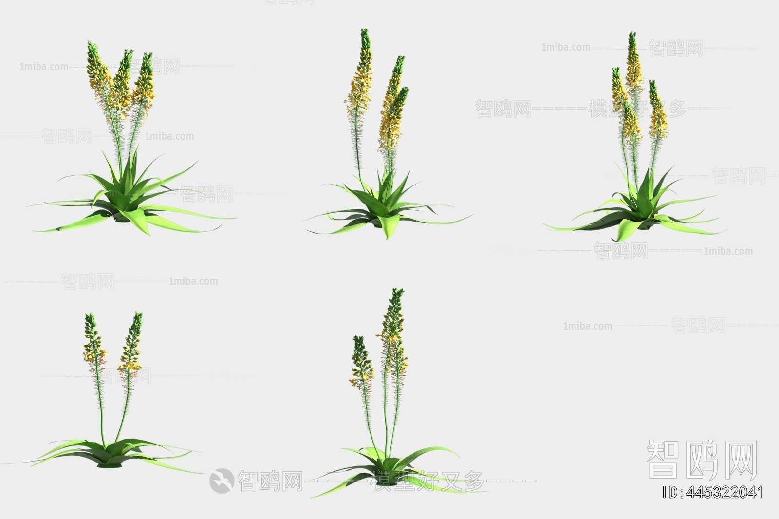 Modern Flowers And Grass