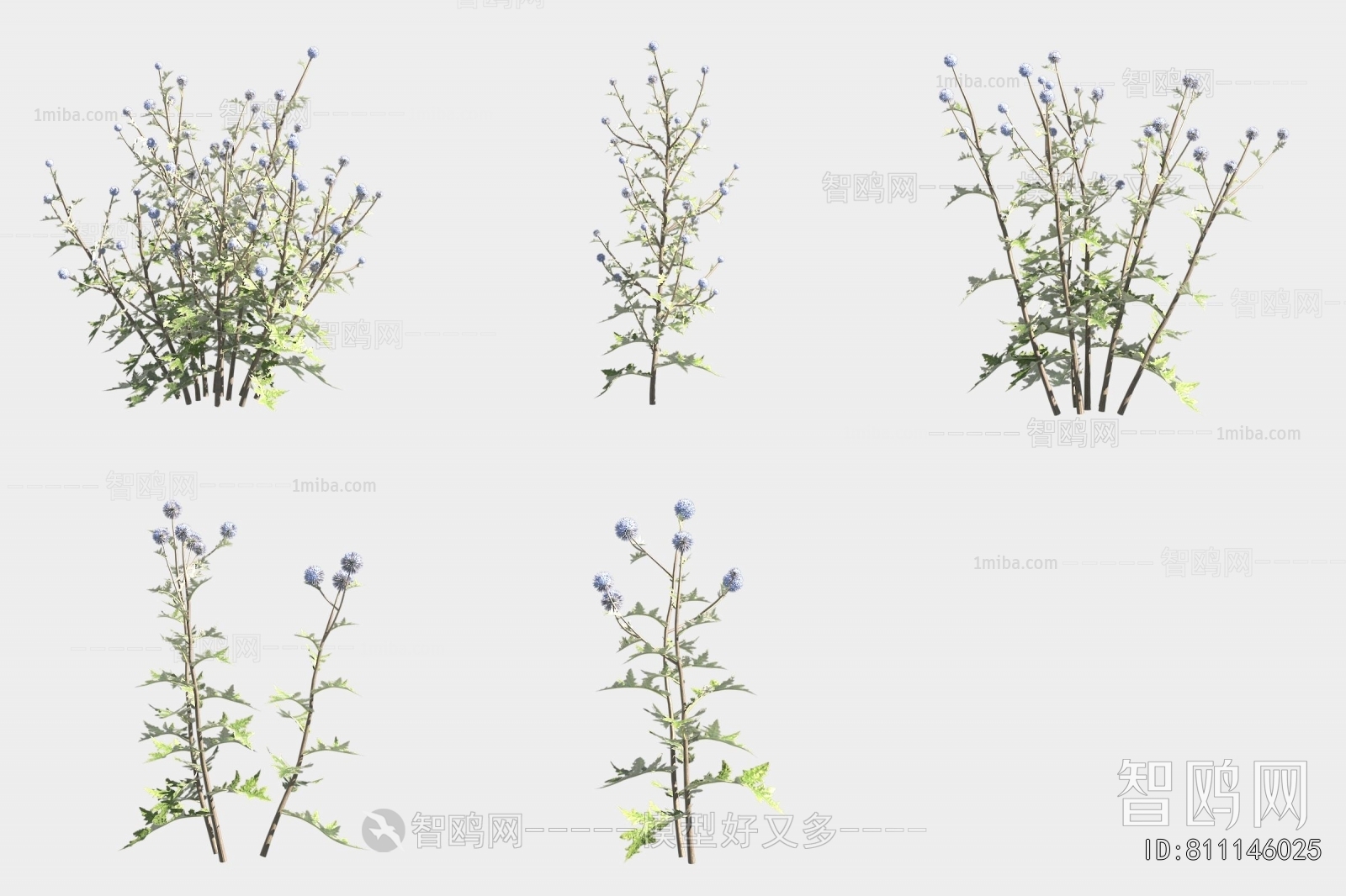 Modern Flowers And Grass