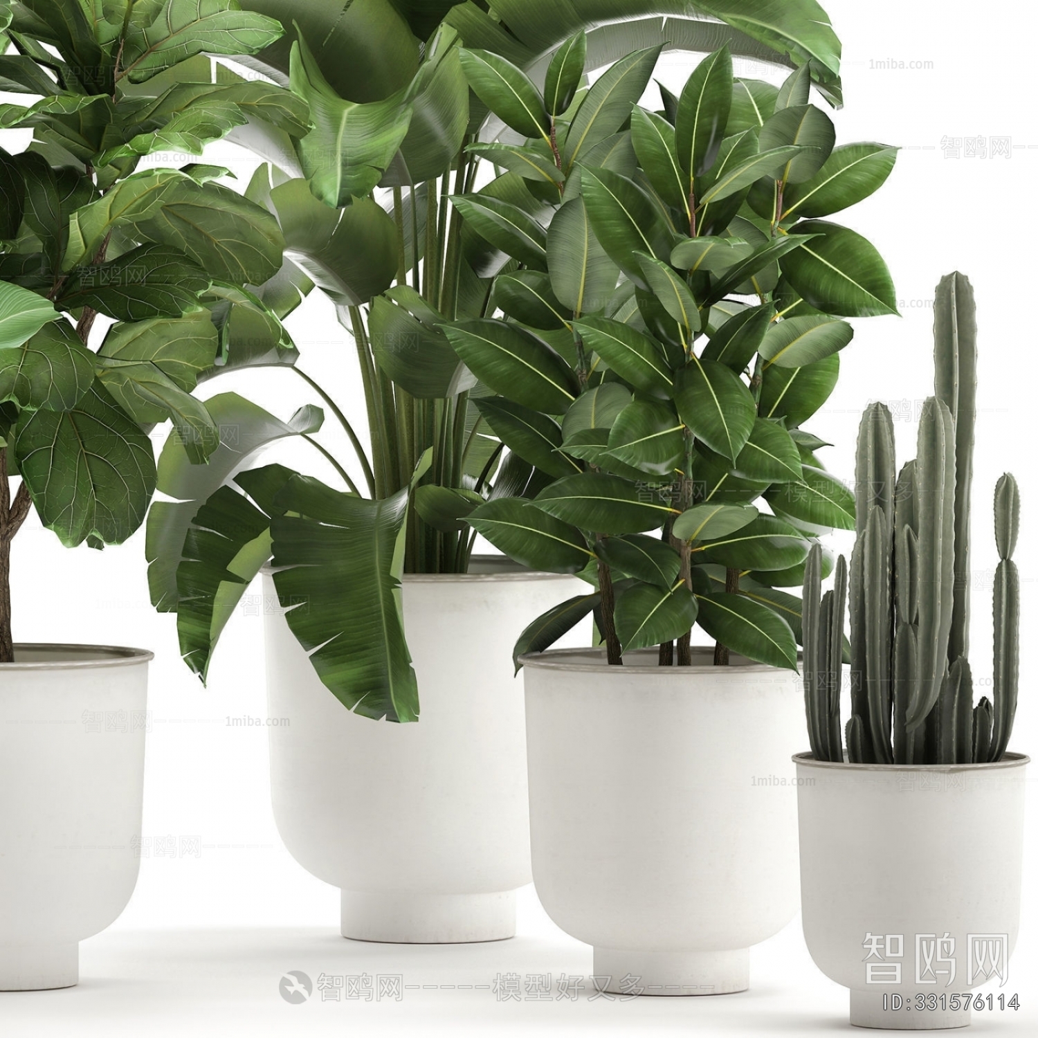 Modern Potted Green Plant