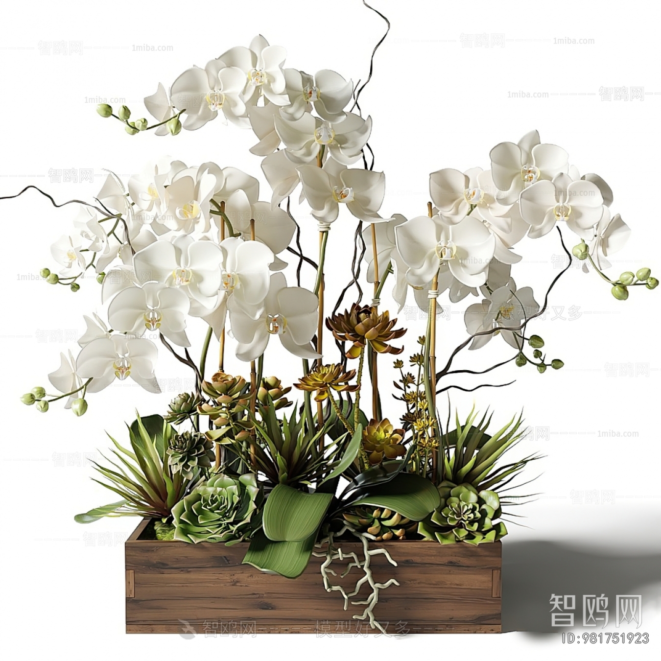 Modern Flower Bed, Flower Bowl, Flower Box