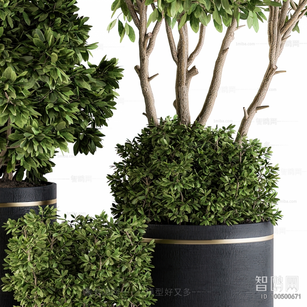 Modern Ground Green Plant Potted Plants