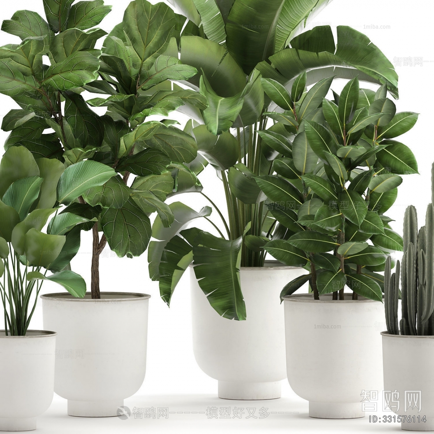 Modern Potted Green Plant
