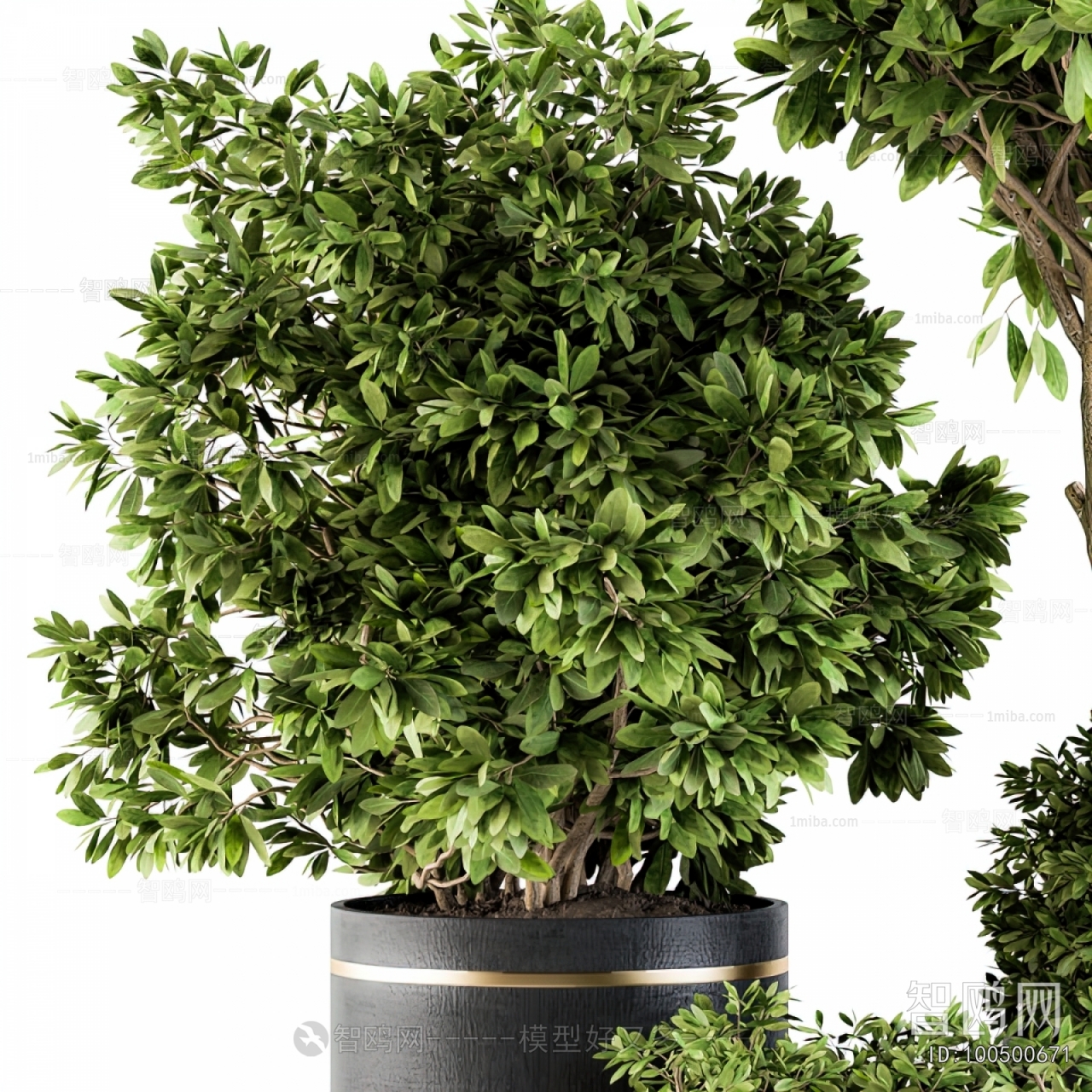 Modern Ground Green Plant Potted Plants