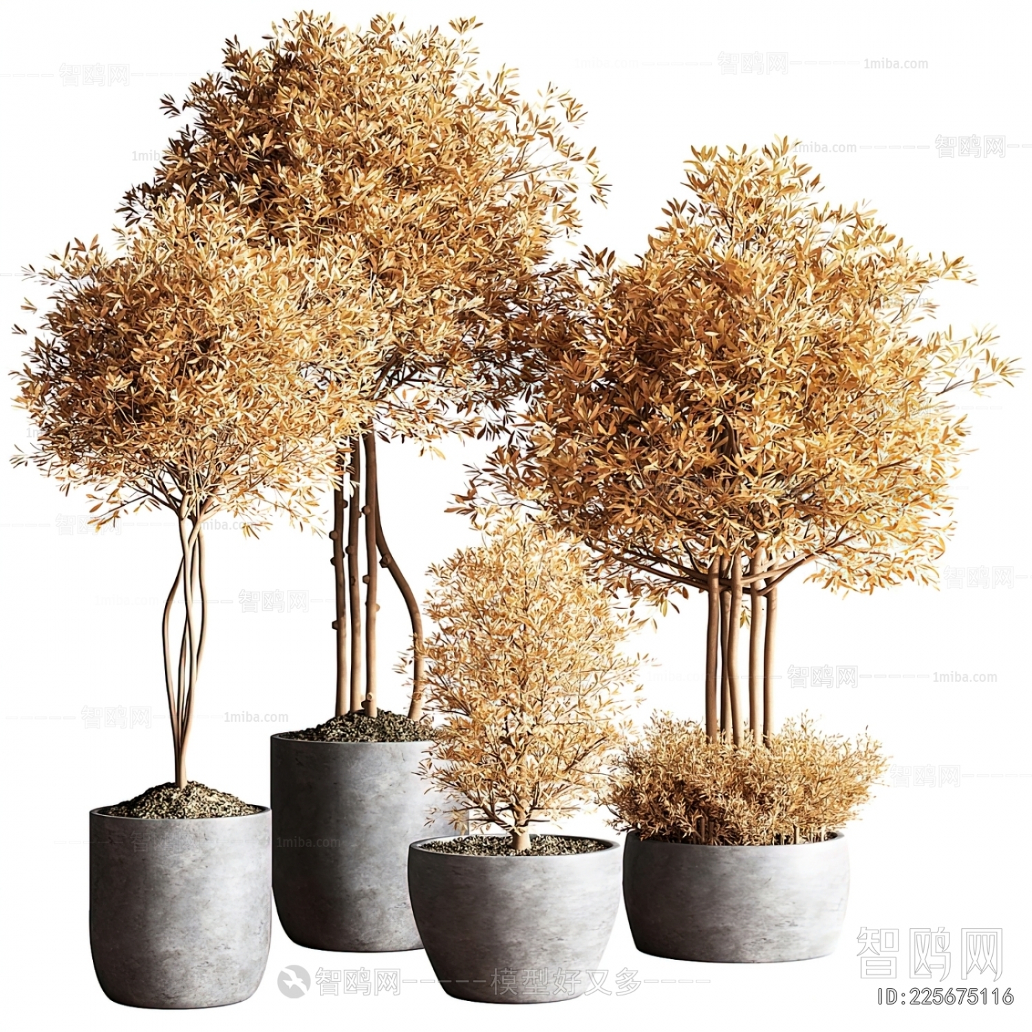 Modern Ground Green Plant Potted Plants