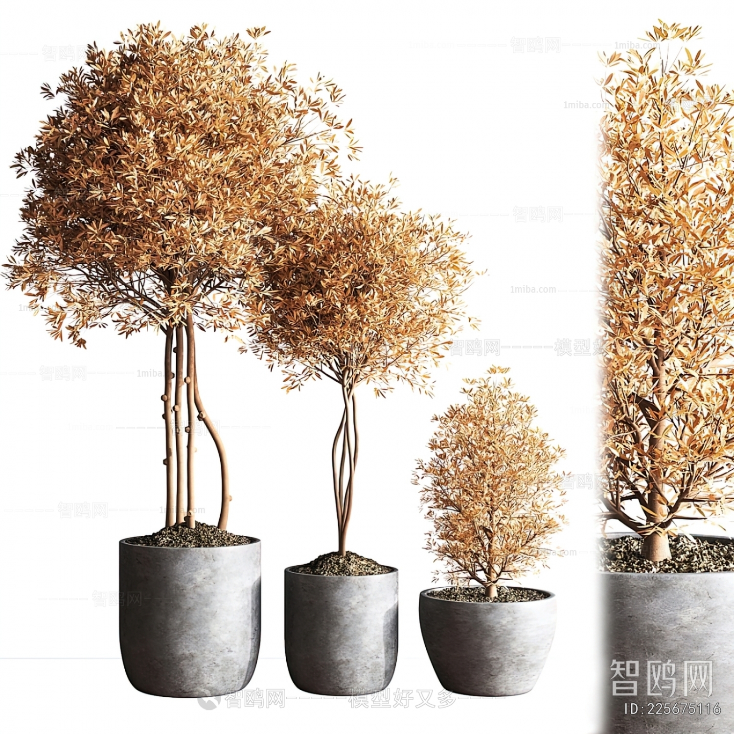 Modern Ground Green Plant Potted Plants