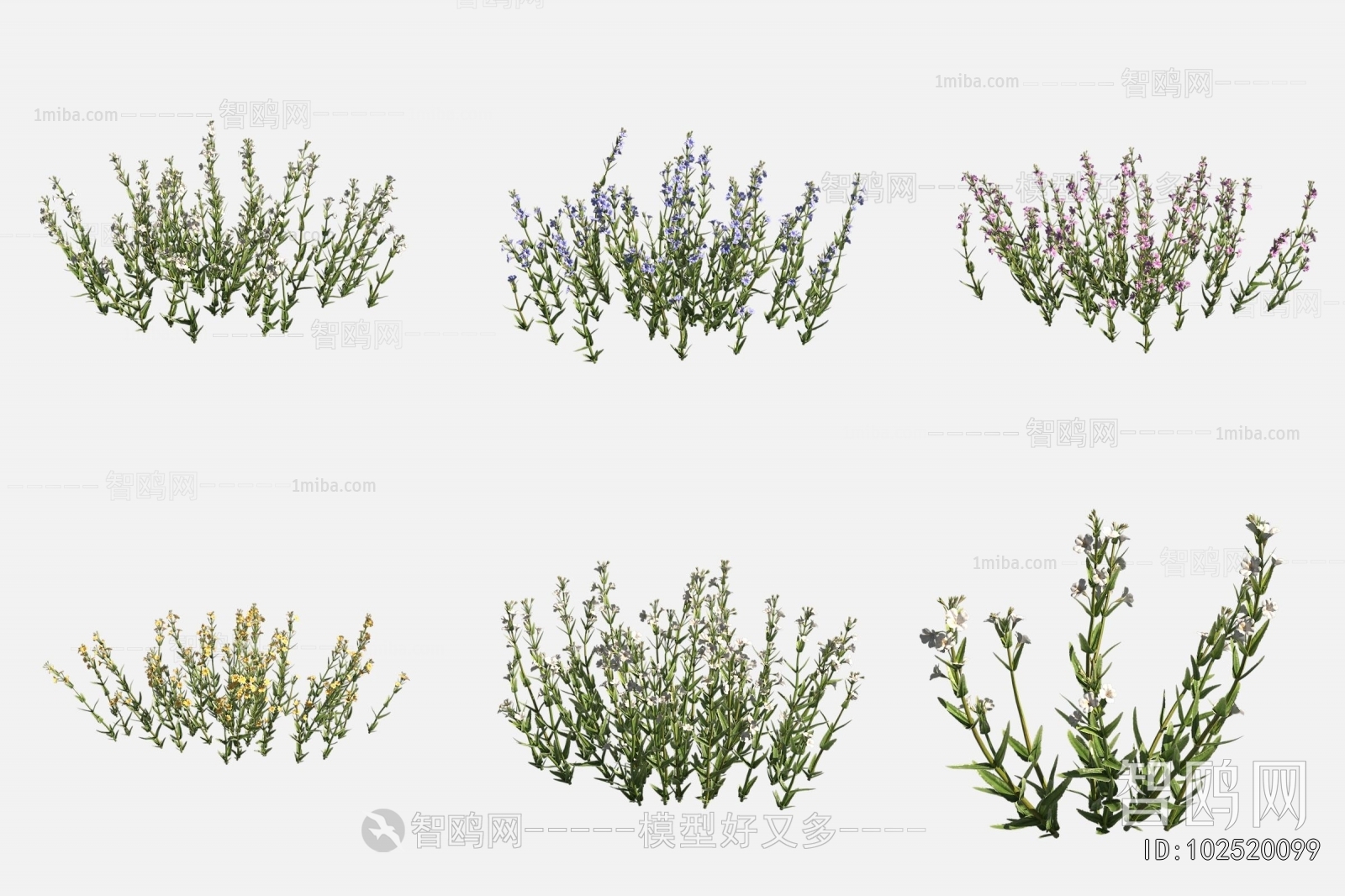 Modern Flowers And Grass