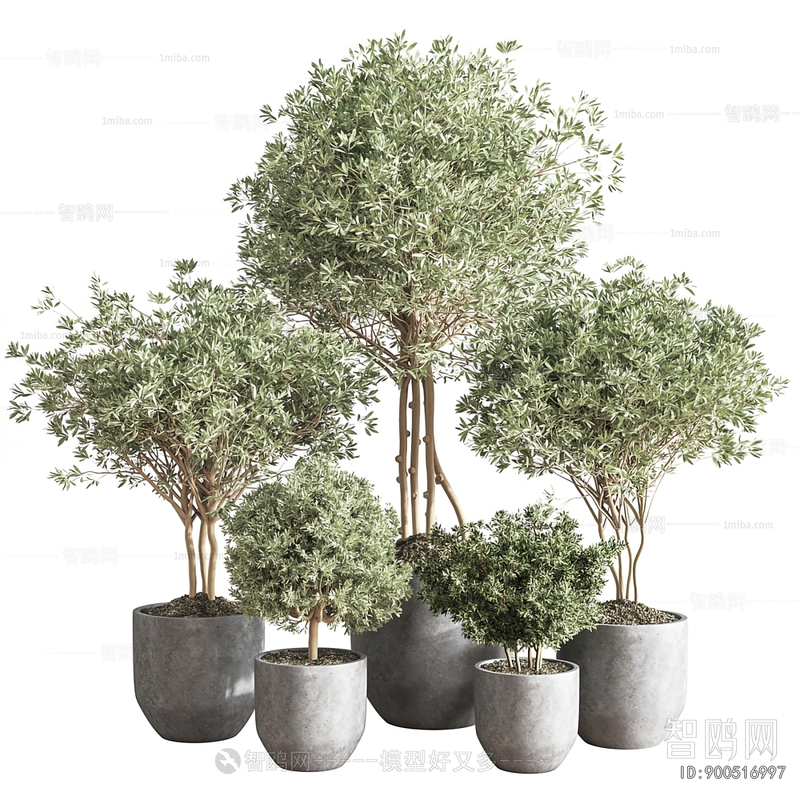 Modern Ground Green Plant Potted Plants