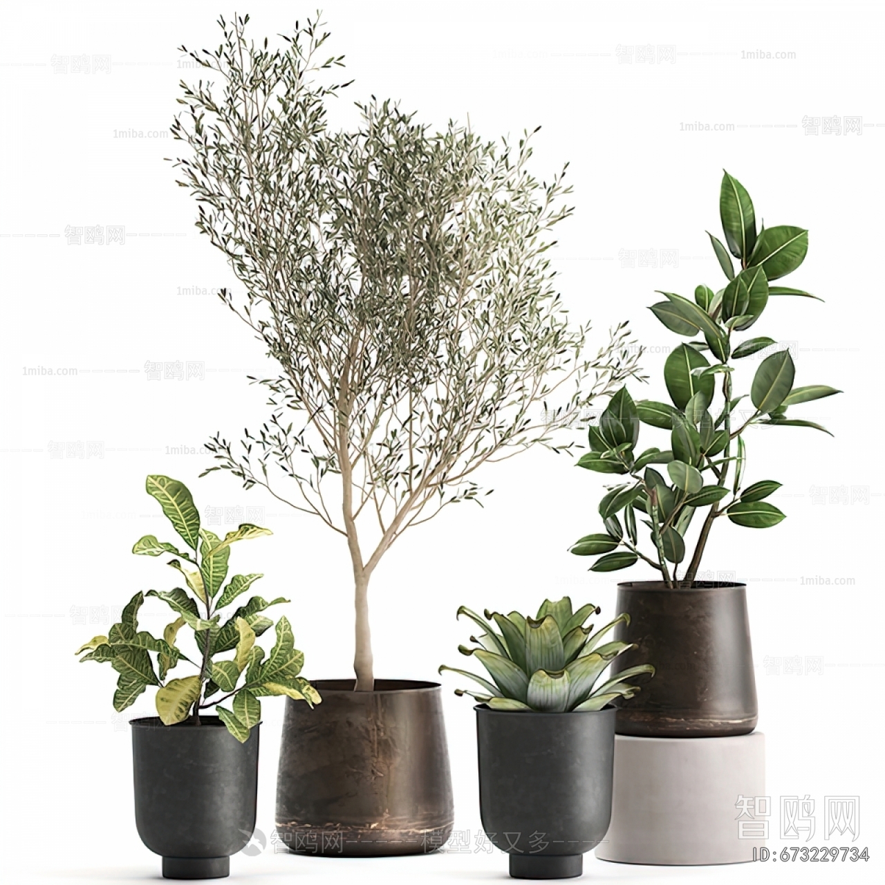 Modern Potted Green Plant