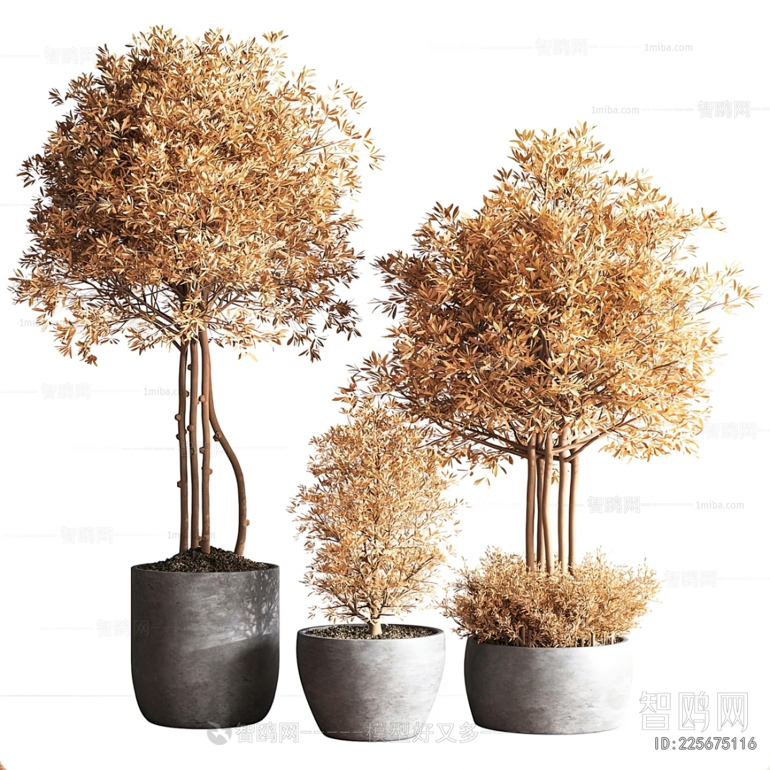 Modern Ground Green Plant Potted Plants