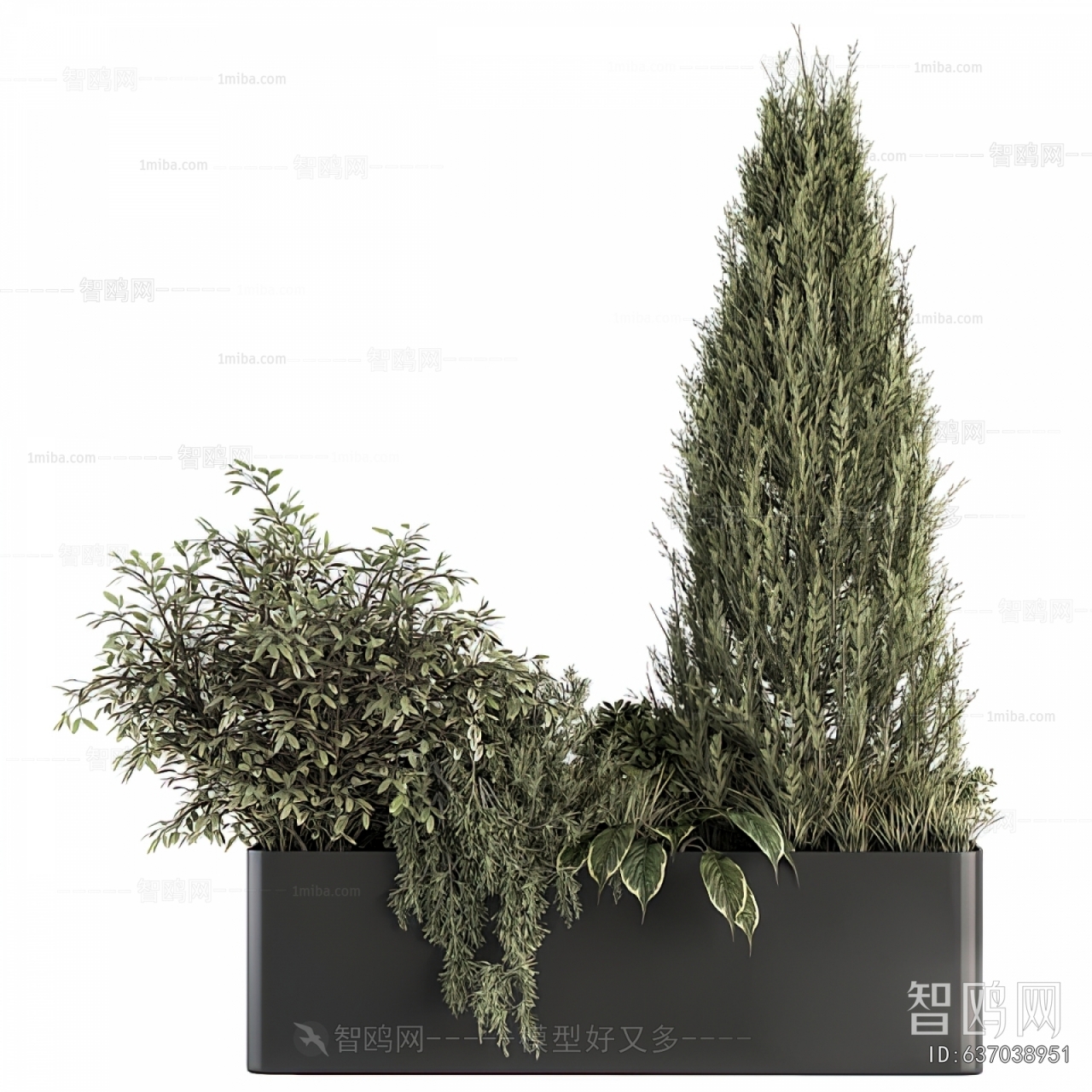 Modern Flower Bed, Flower Bowl, Flower Box