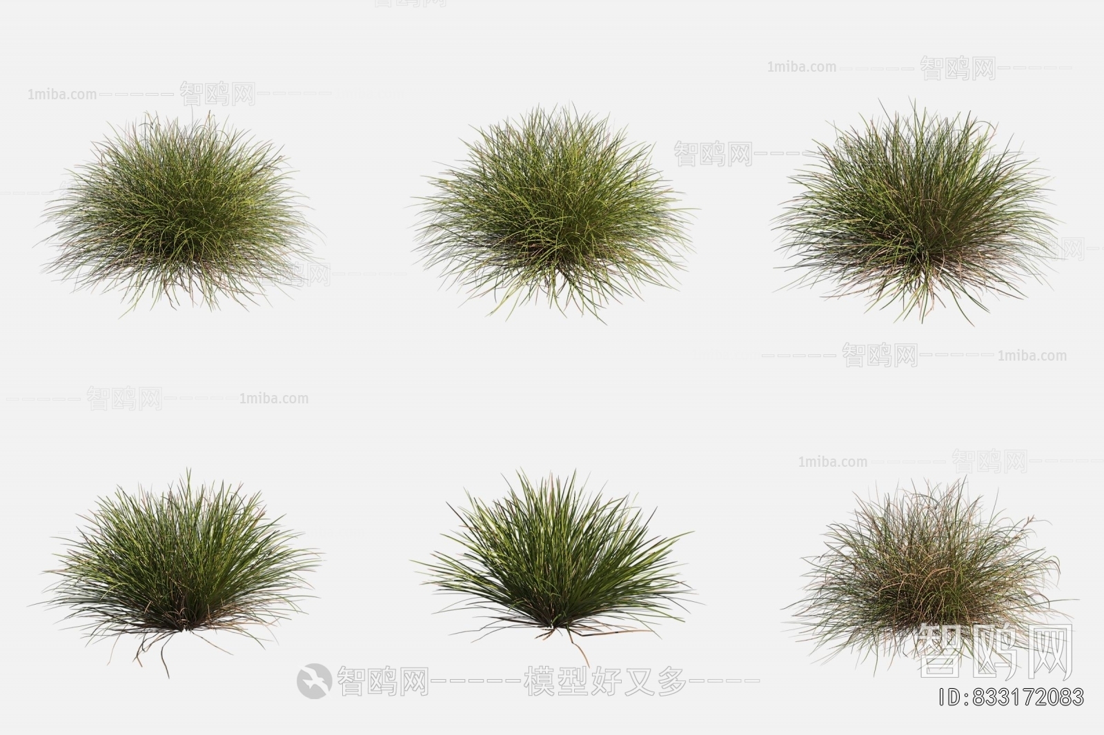 Modern The Grass