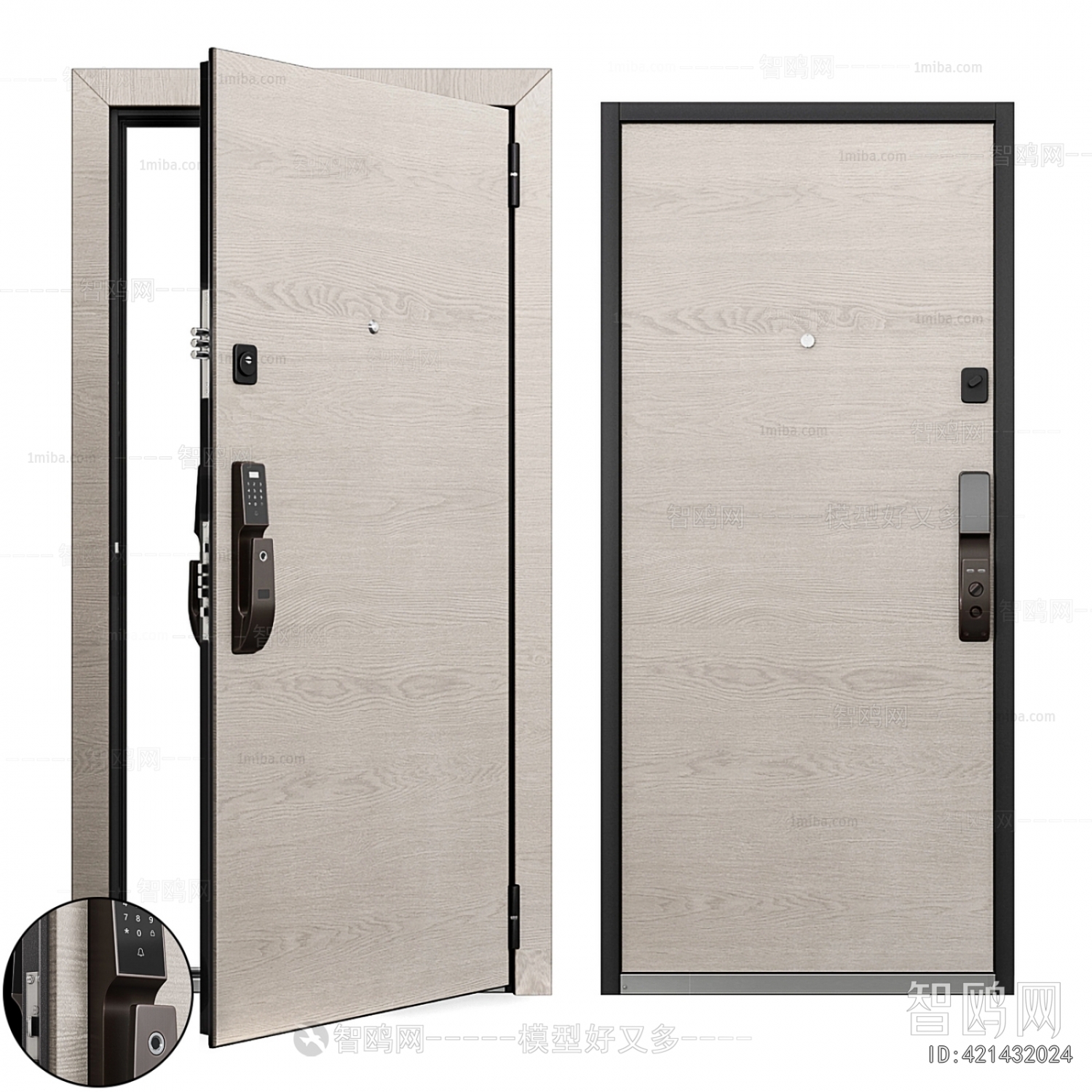 Modern Entrance Door