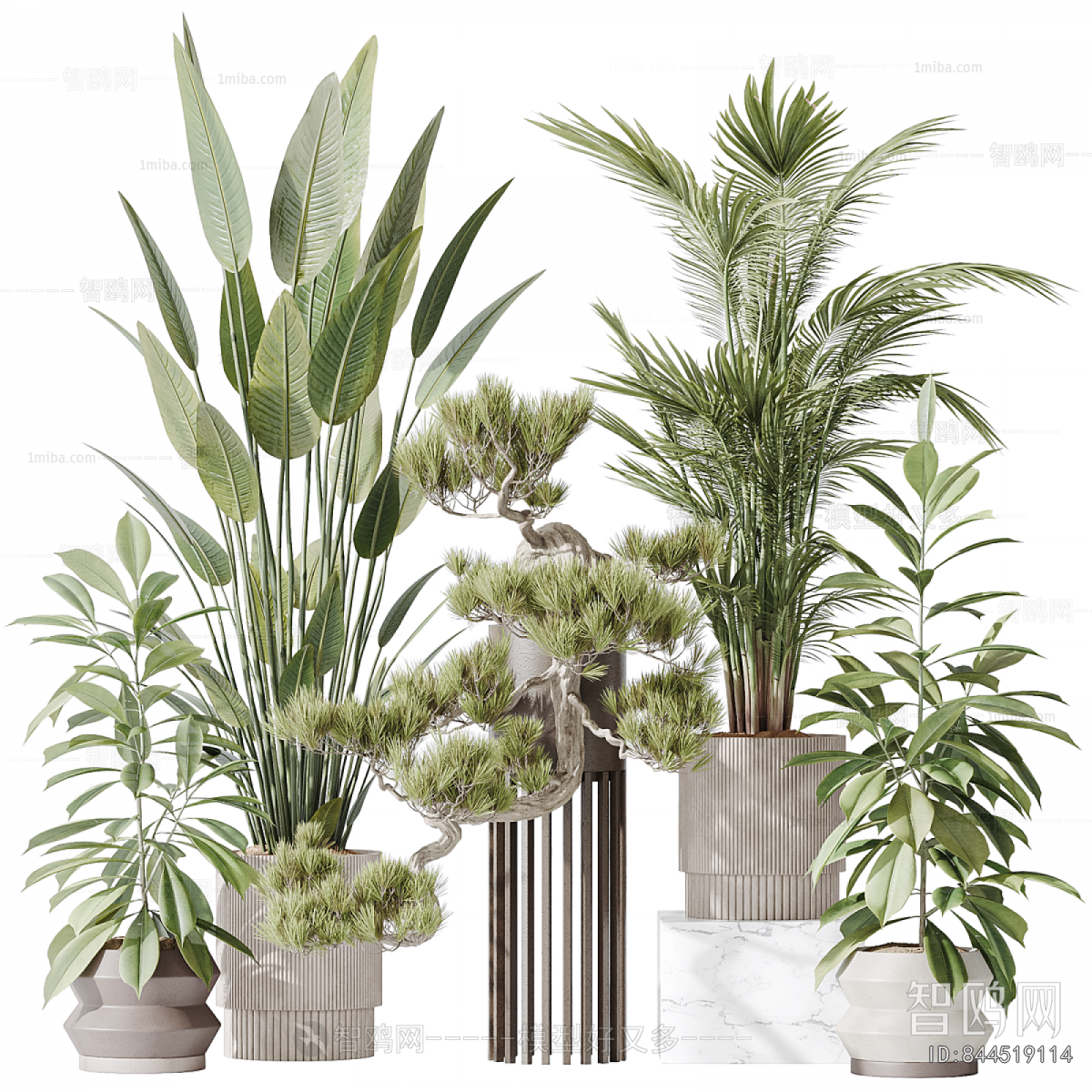 Modern Ground Green Plant Potted Plants