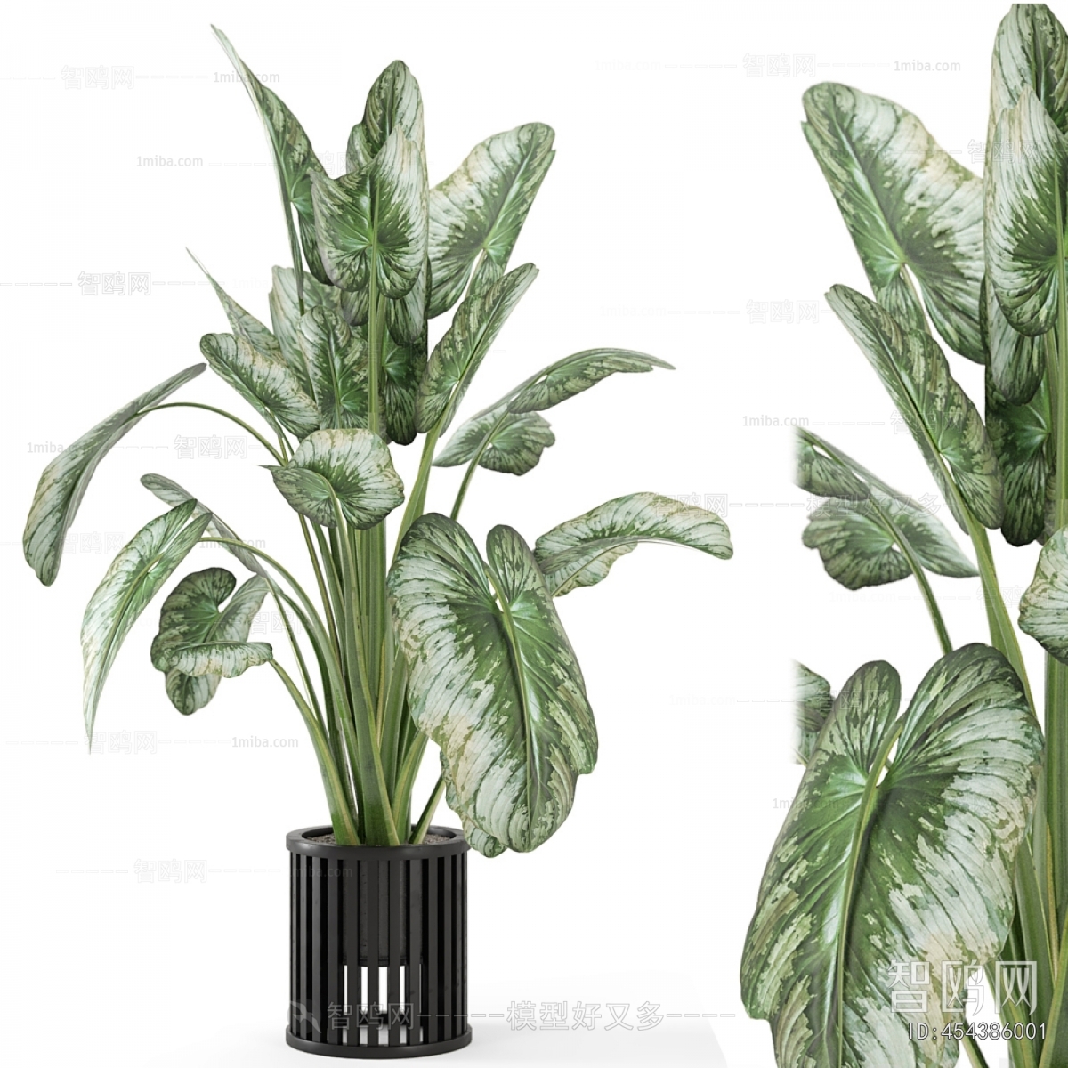 Modern Ground Green Plant Potted Plants