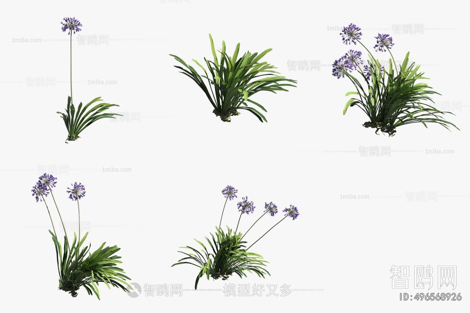 Modern Flowers And Grass