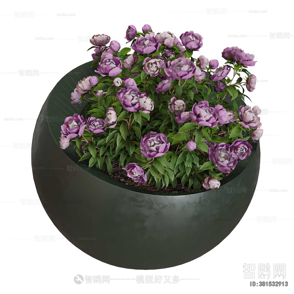 Modern Potted Green Plant