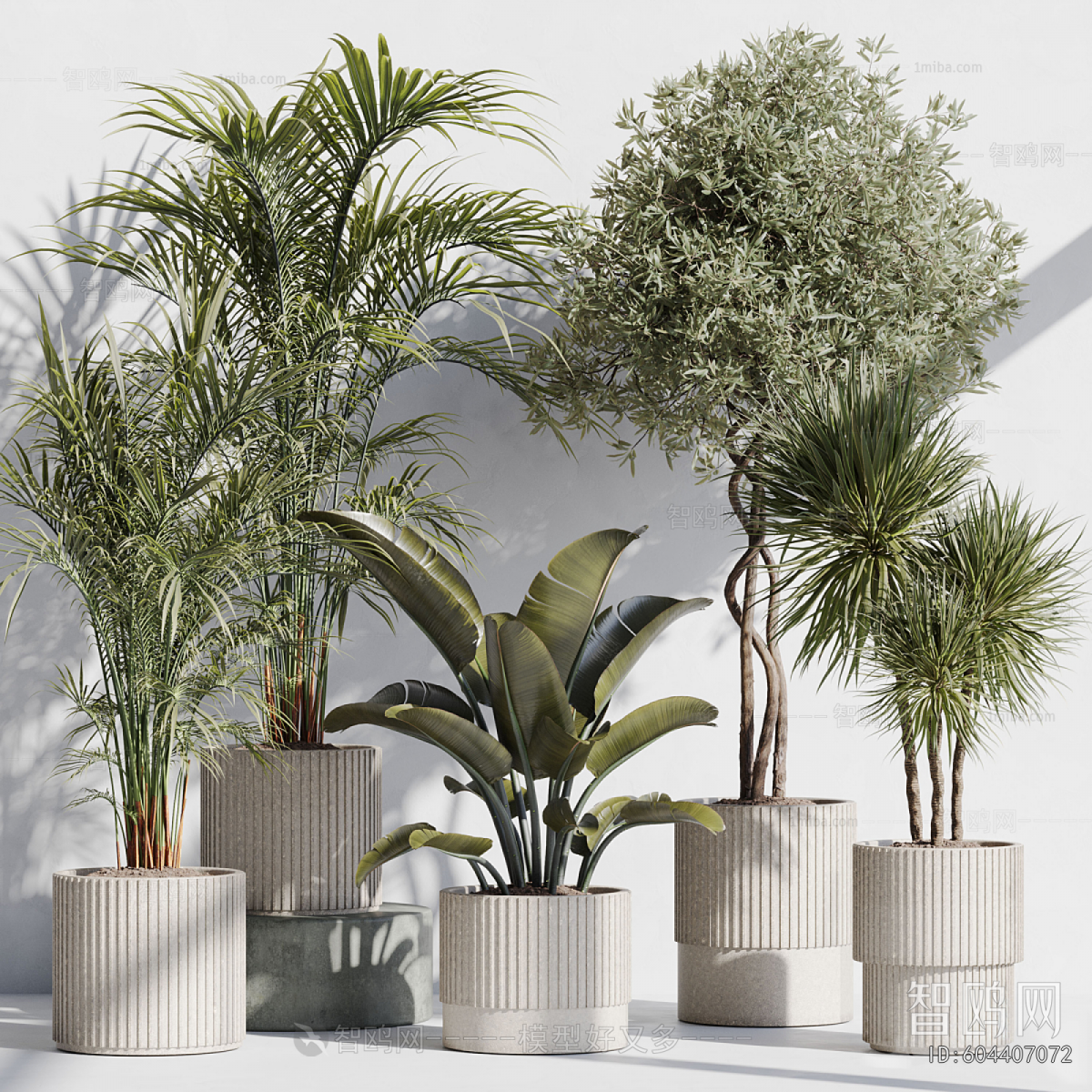 Modern Ground Green Plant Potted Plants