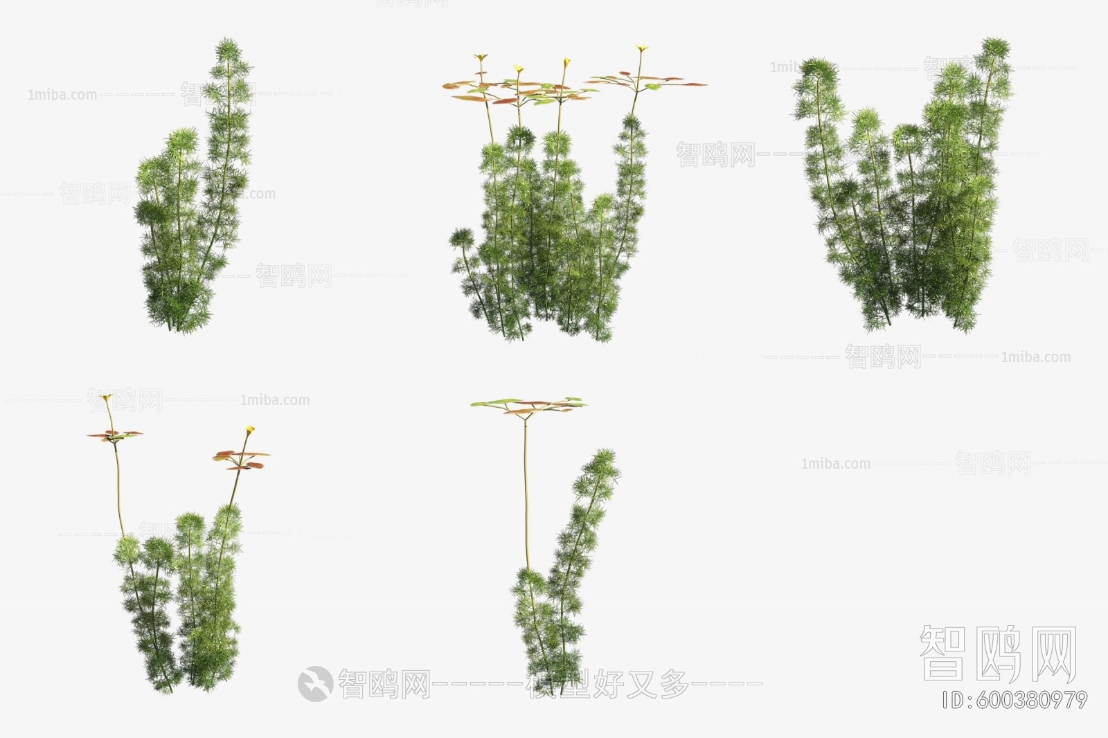 Modern Aquatic Green Plant