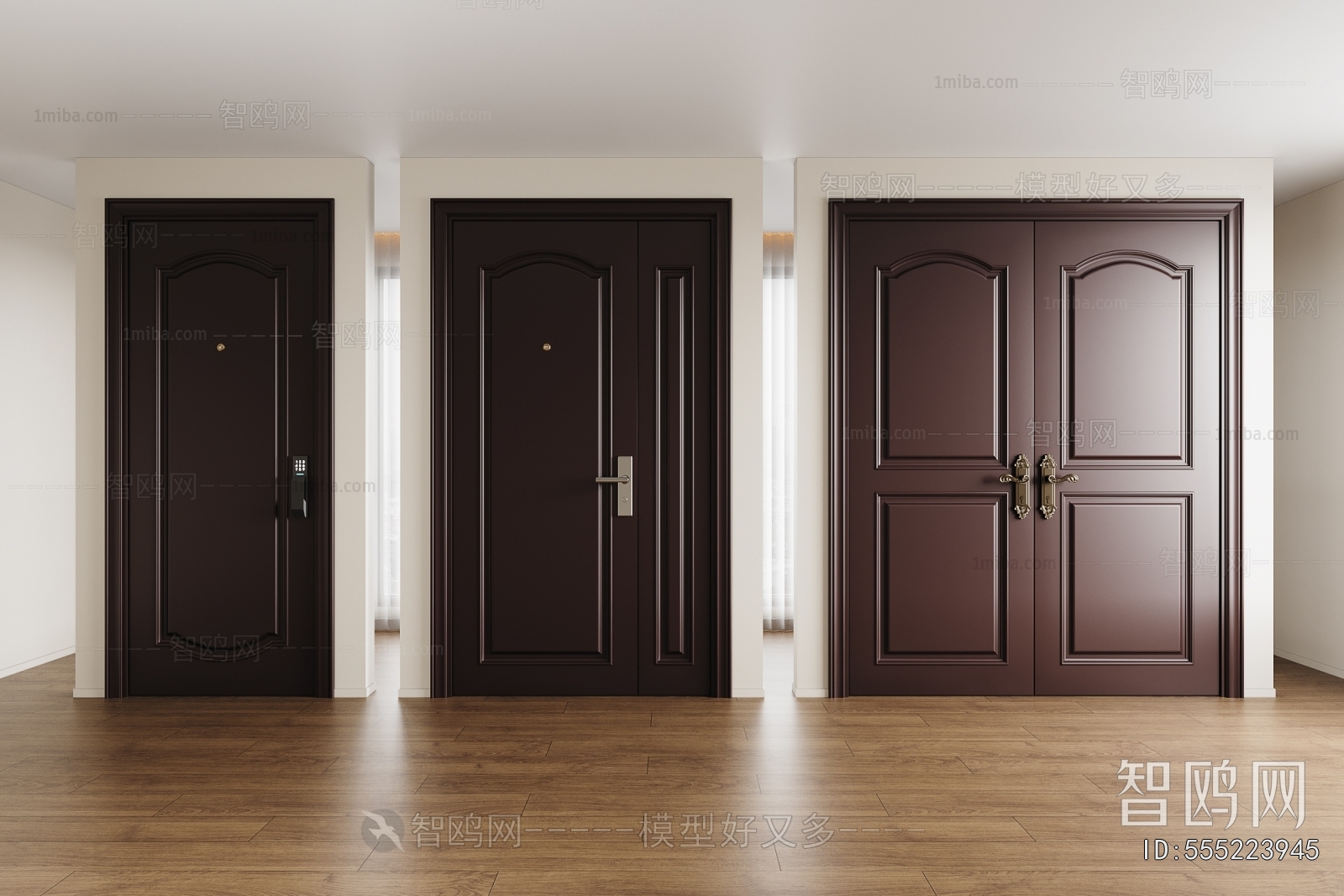 Modern Entrance Door