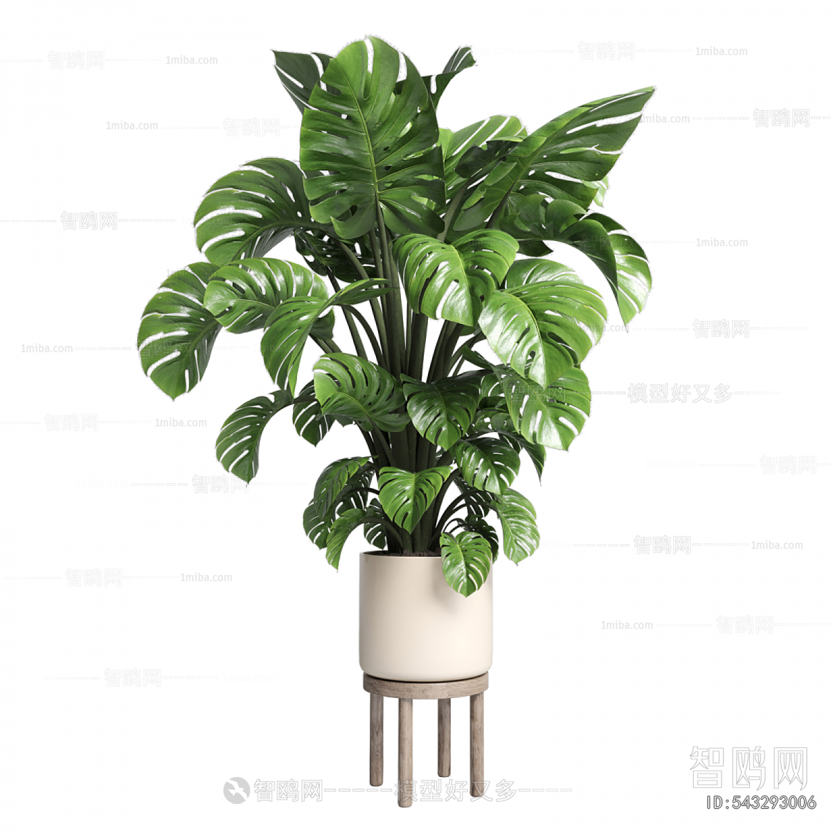 Modern Potted Green Plant
