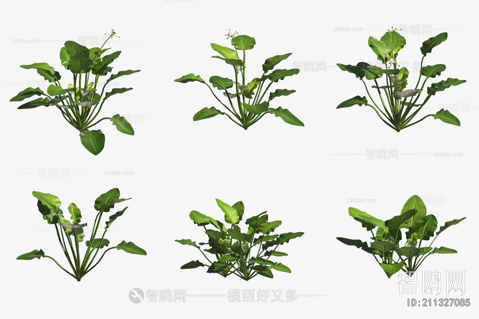 Modern Aquatic Green Plant