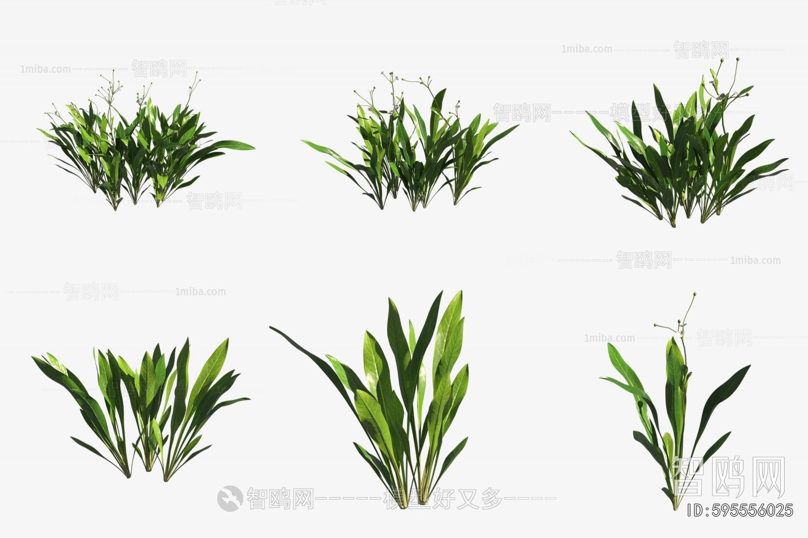 Modern Aquatic Green Plant