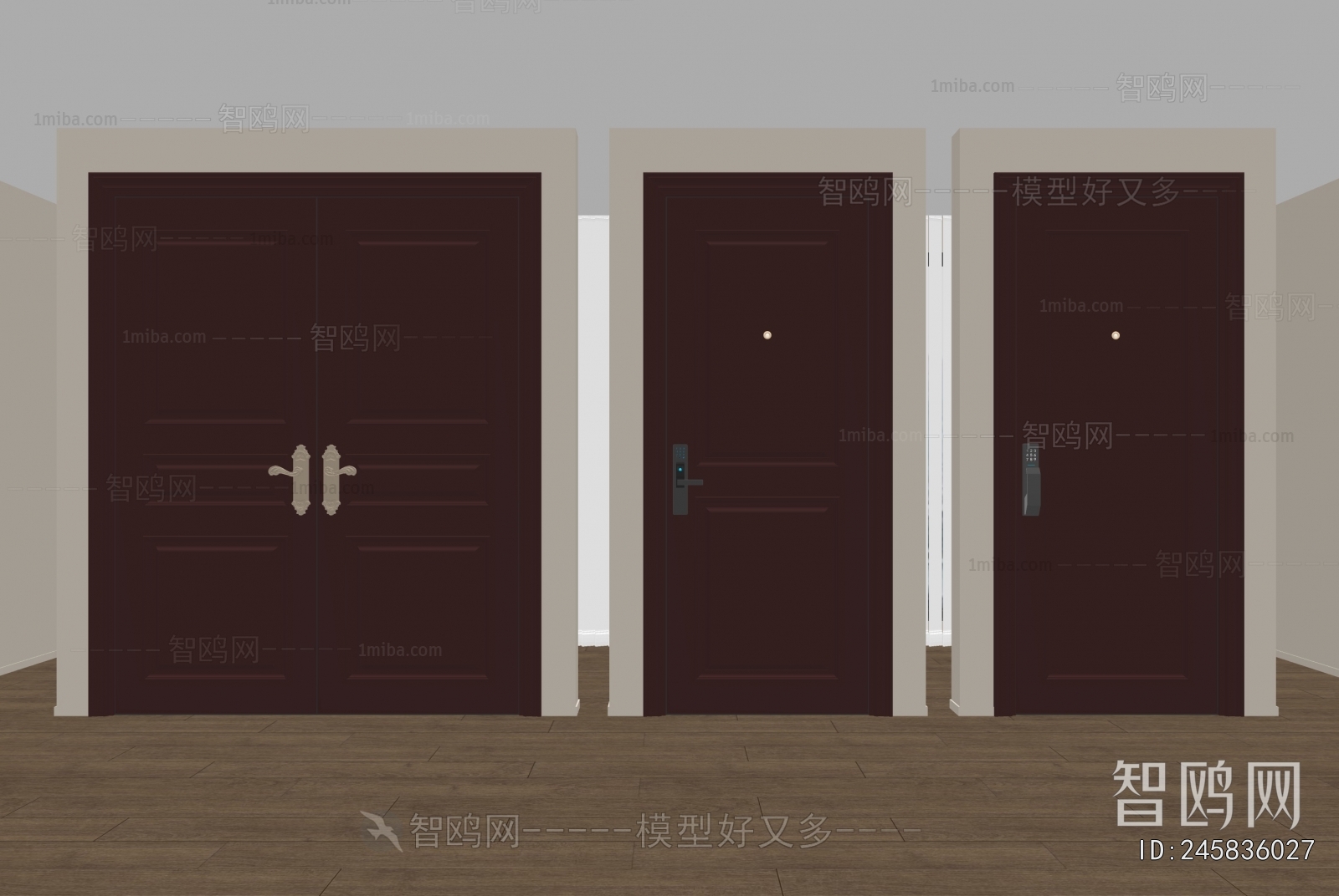 Modern Entrance Door