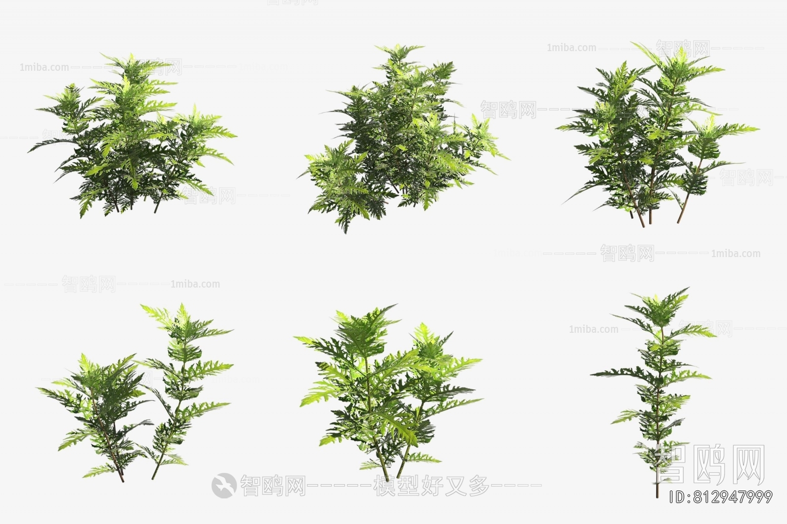 Modern Aquatic Green Plant