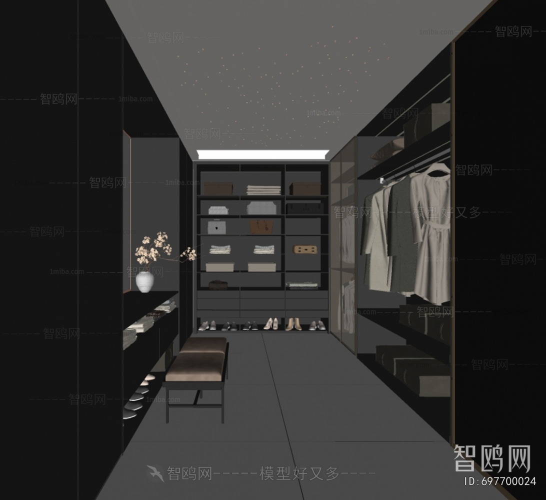 Modern Clothes Storage Area