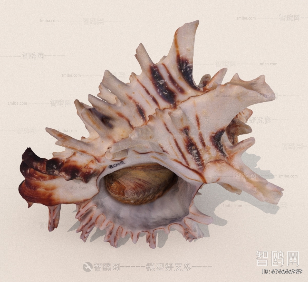 Modern Aquatic Animals