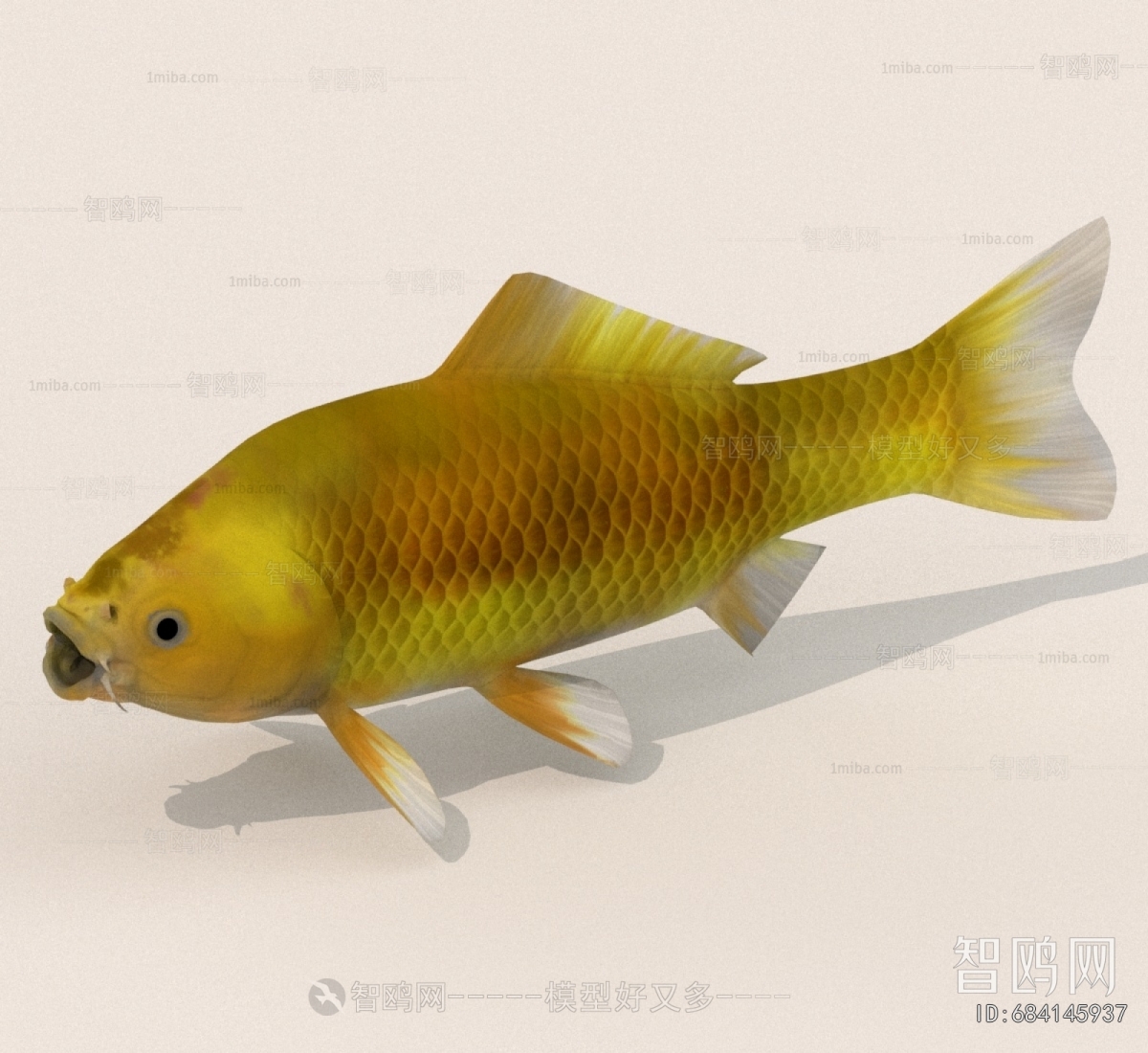 Modern Aquatic Animals