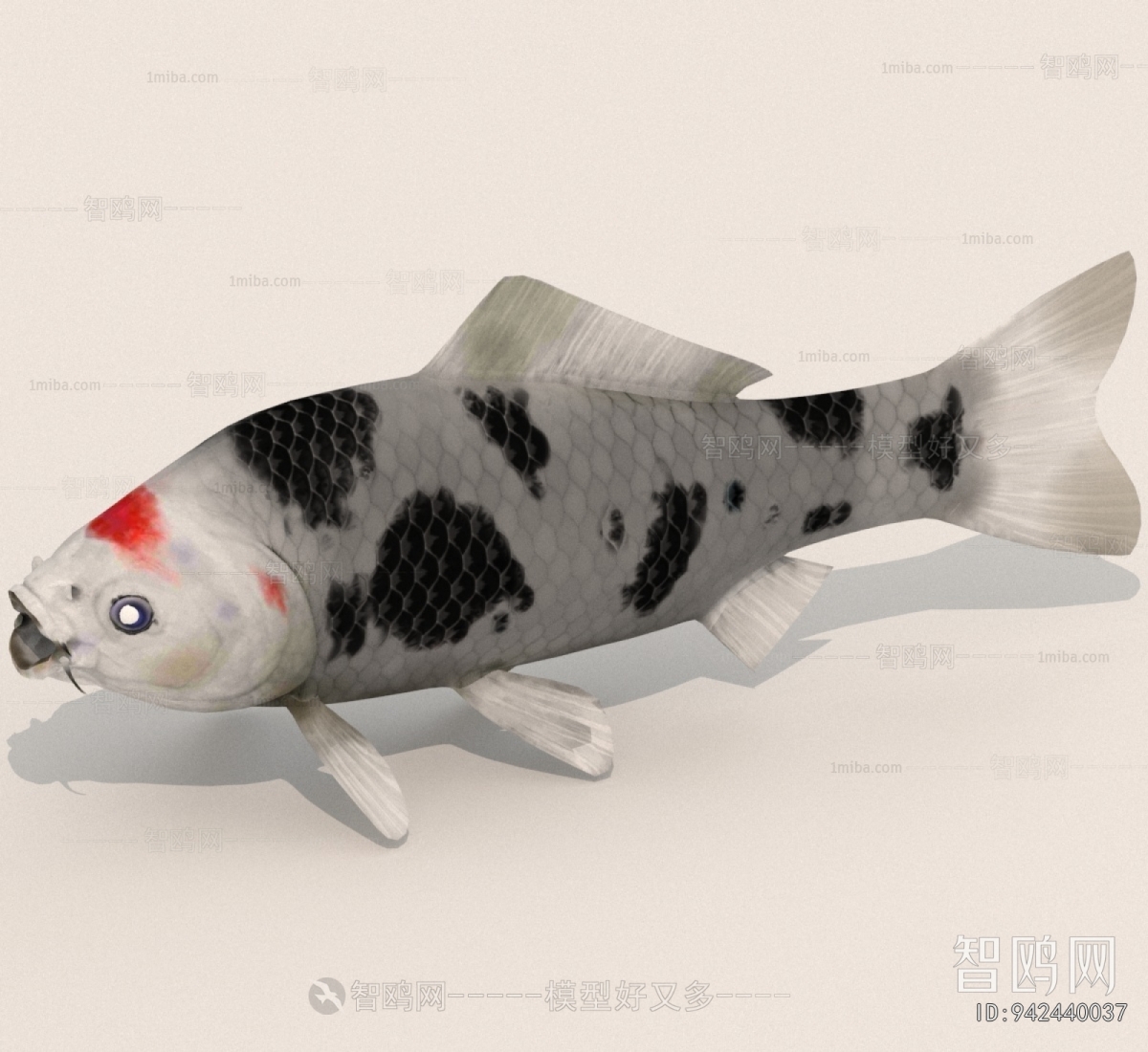 Modern Aquatic Animals