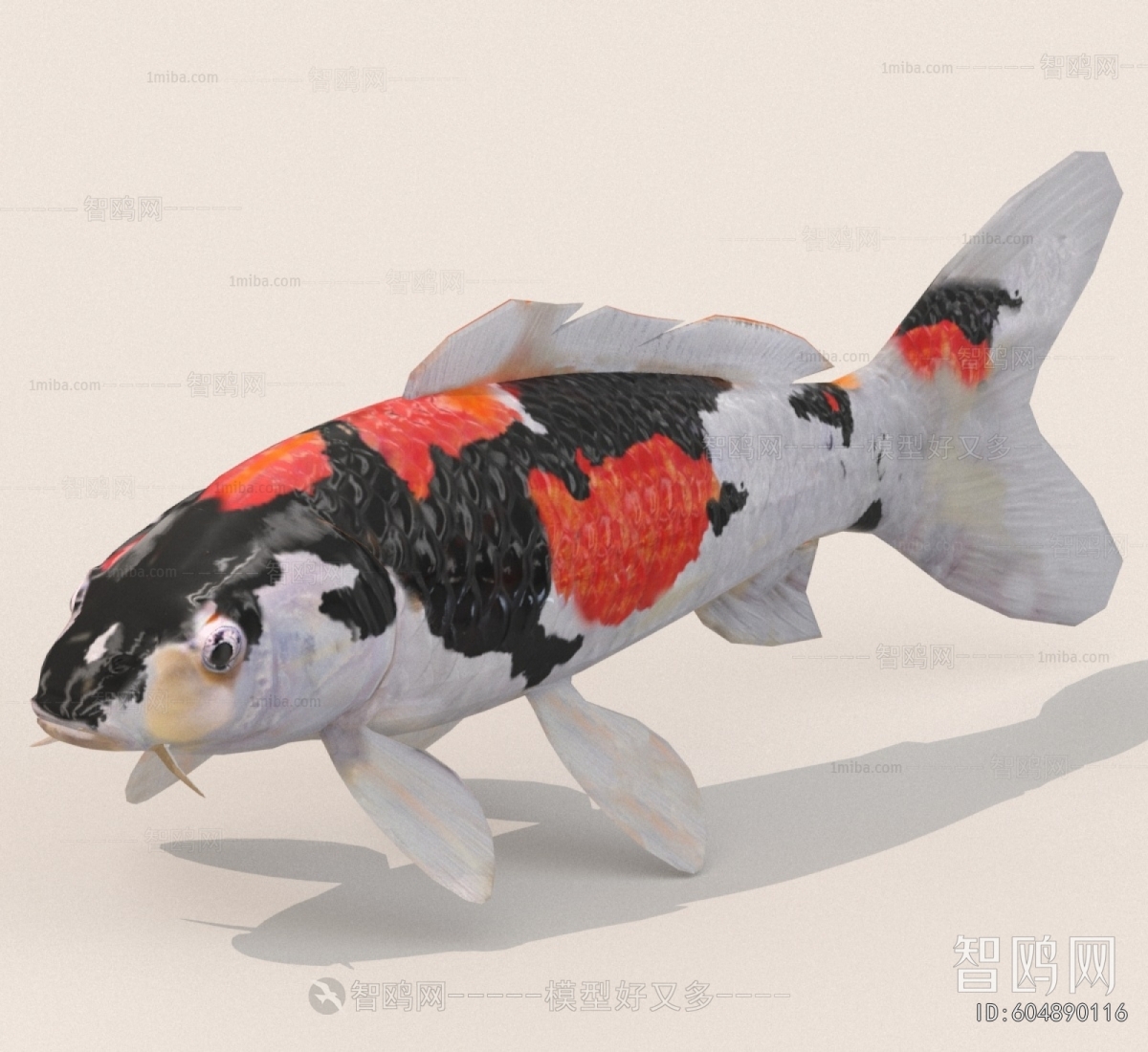 Modern Aquatic Animals