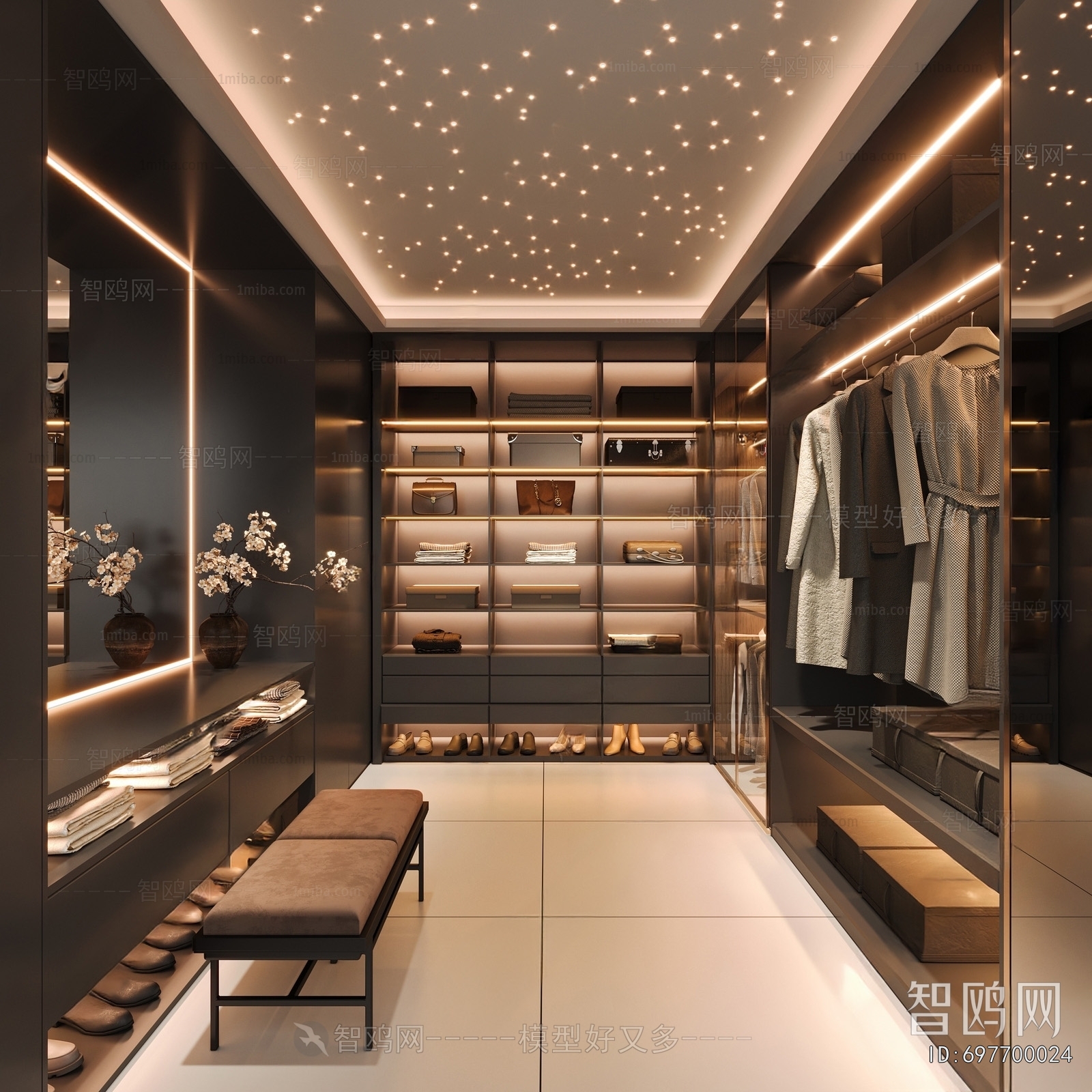 Modern Clothes Storage Area