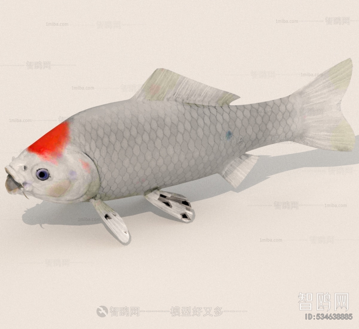 Modern Aquatic Animals