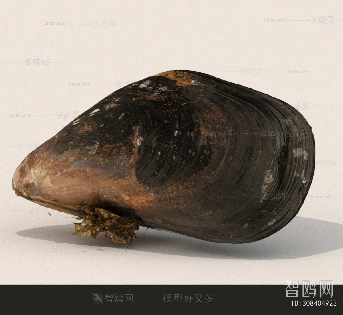 Modern Aquatic Product