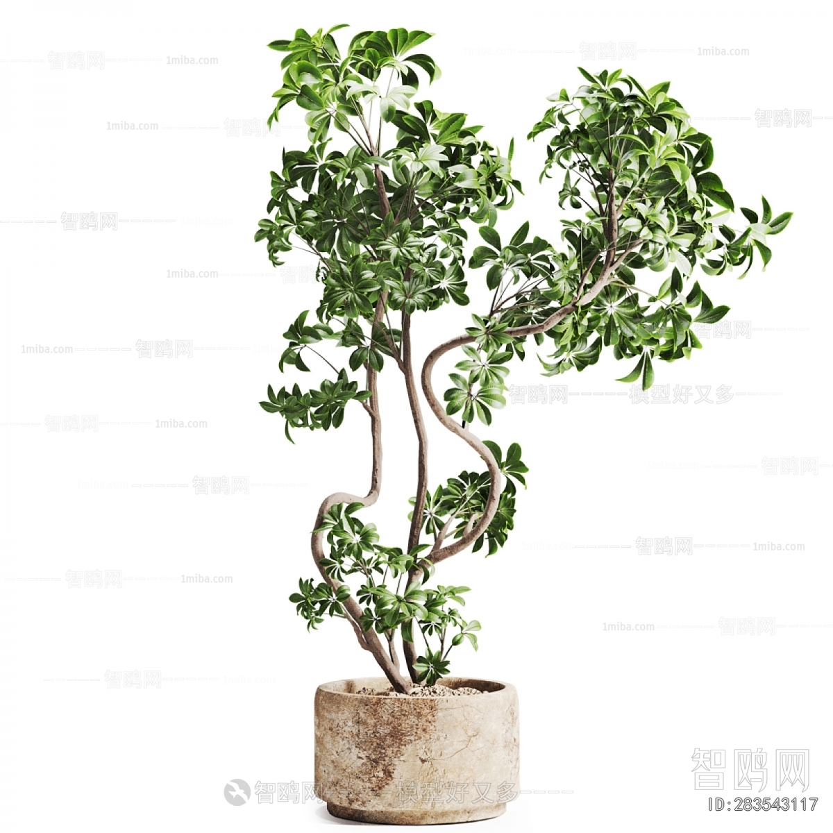 Modern Ground Green Plant Potted Plants