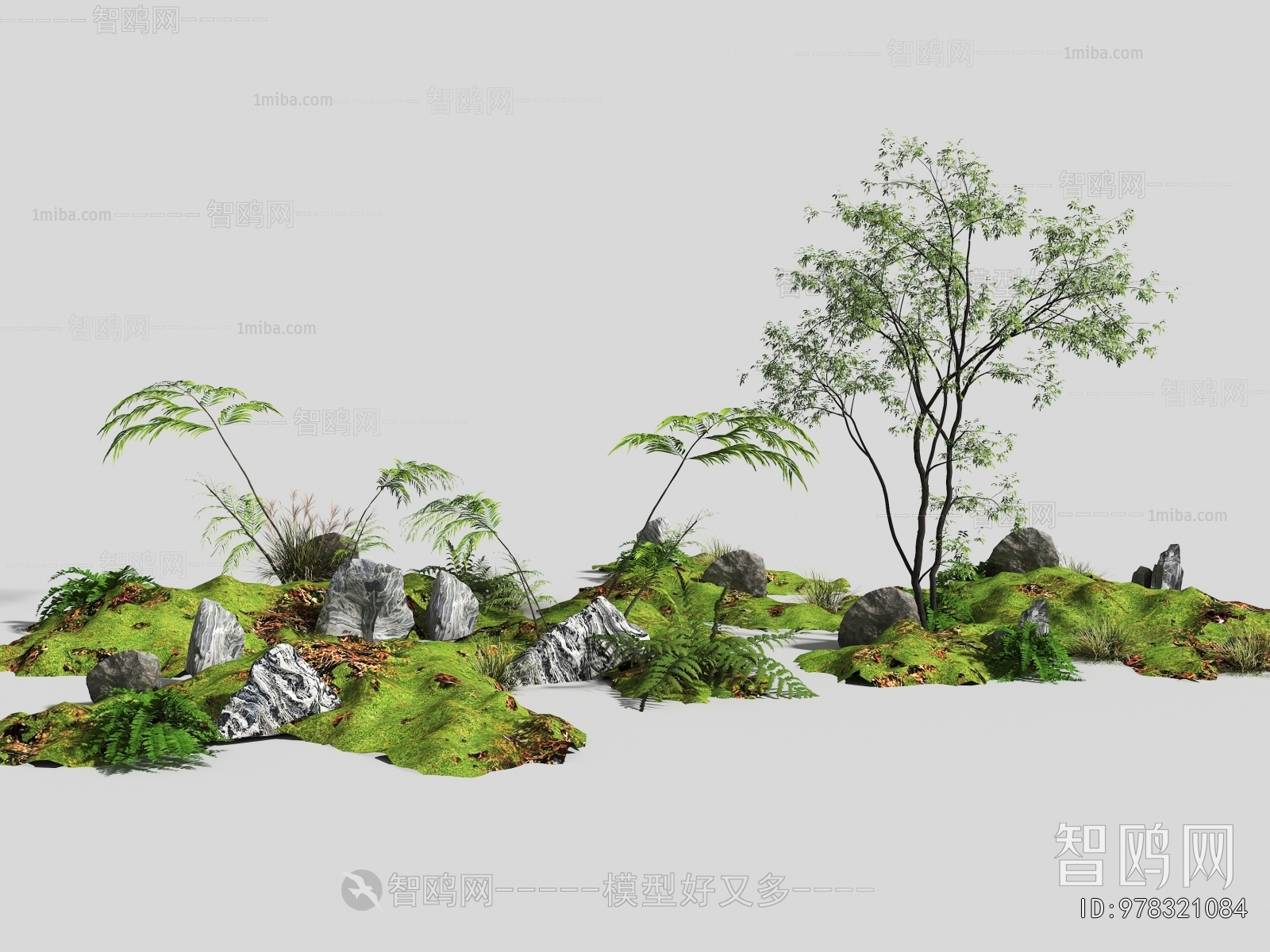 Modern Plant Landscaping