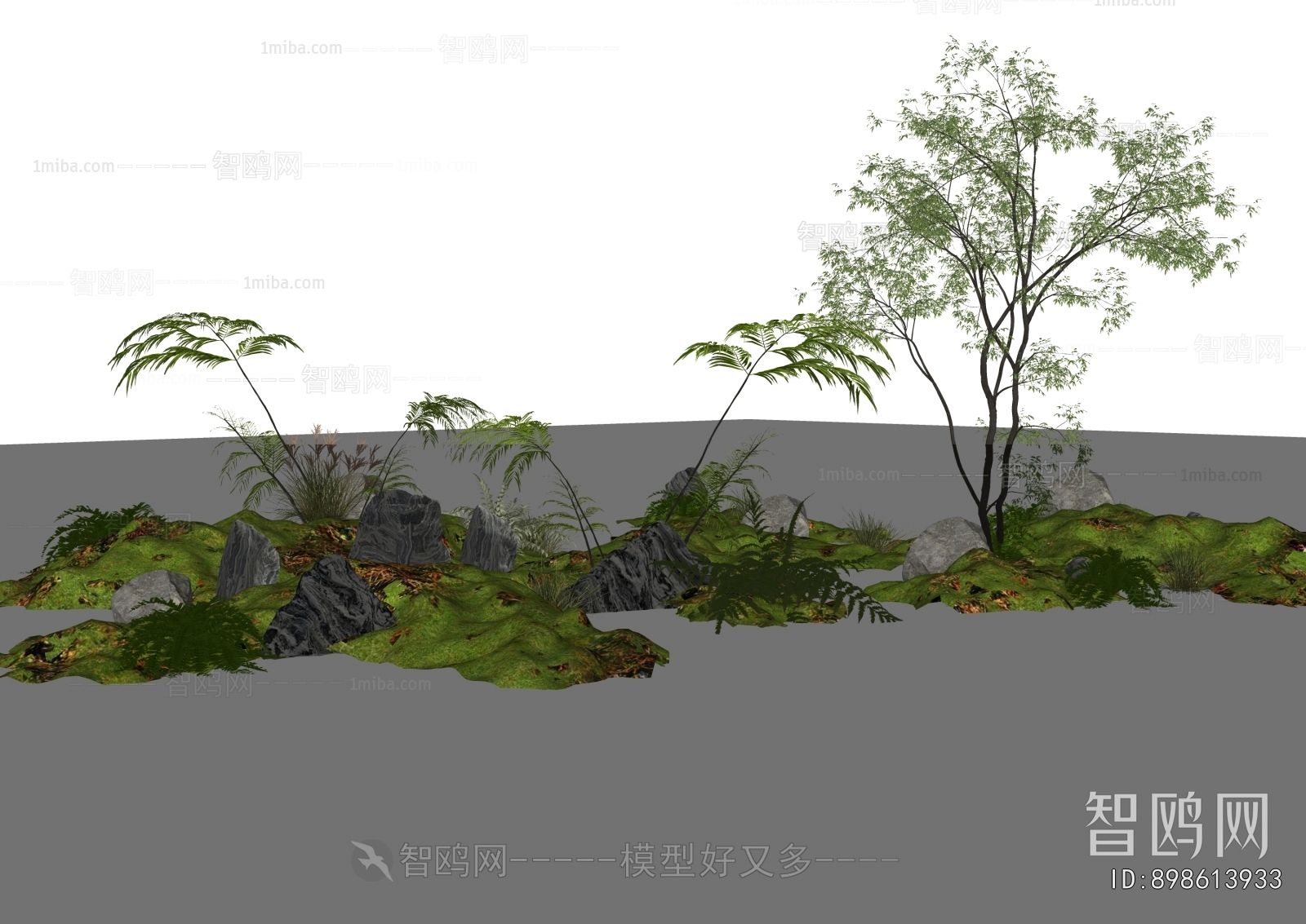 Modern Plant Landscaping