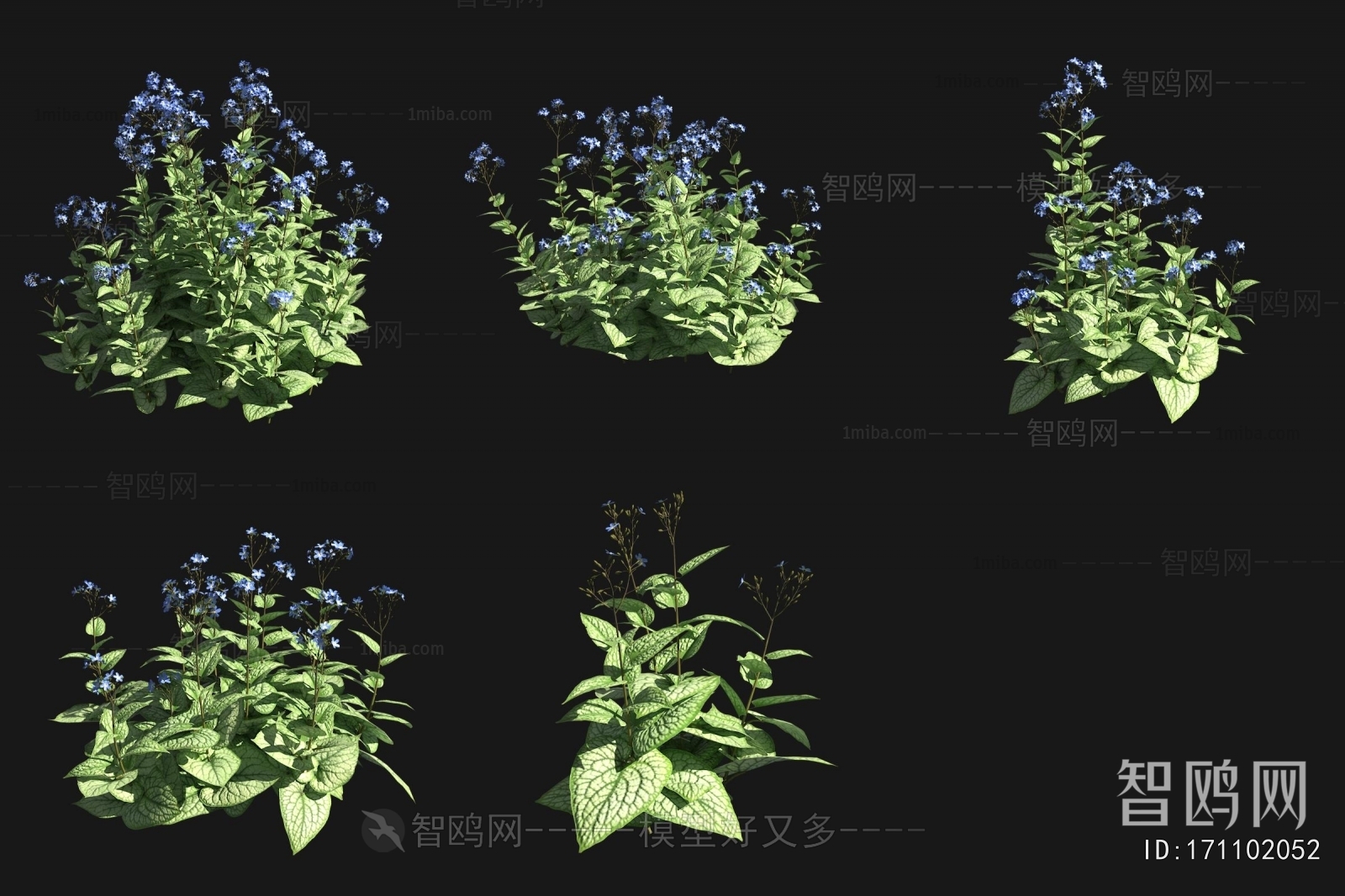 Modern Flowers And Grass