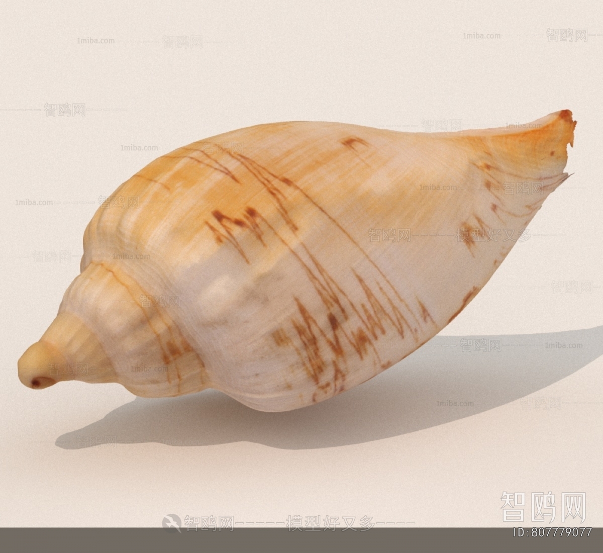 Modern Aquatic Animals