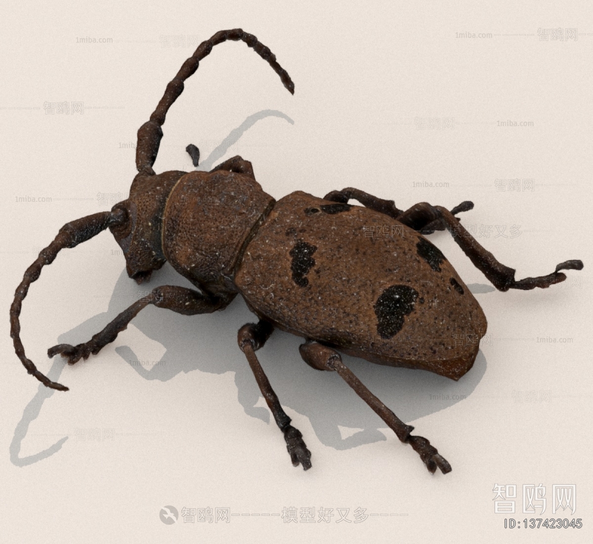 Modern Other Animals