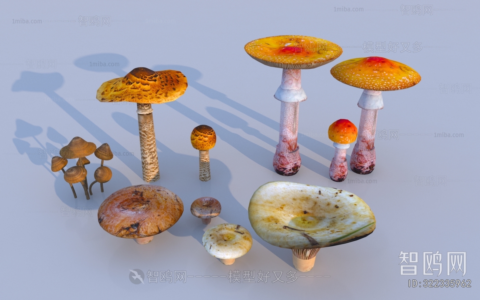 现代蘑菇菌类组合